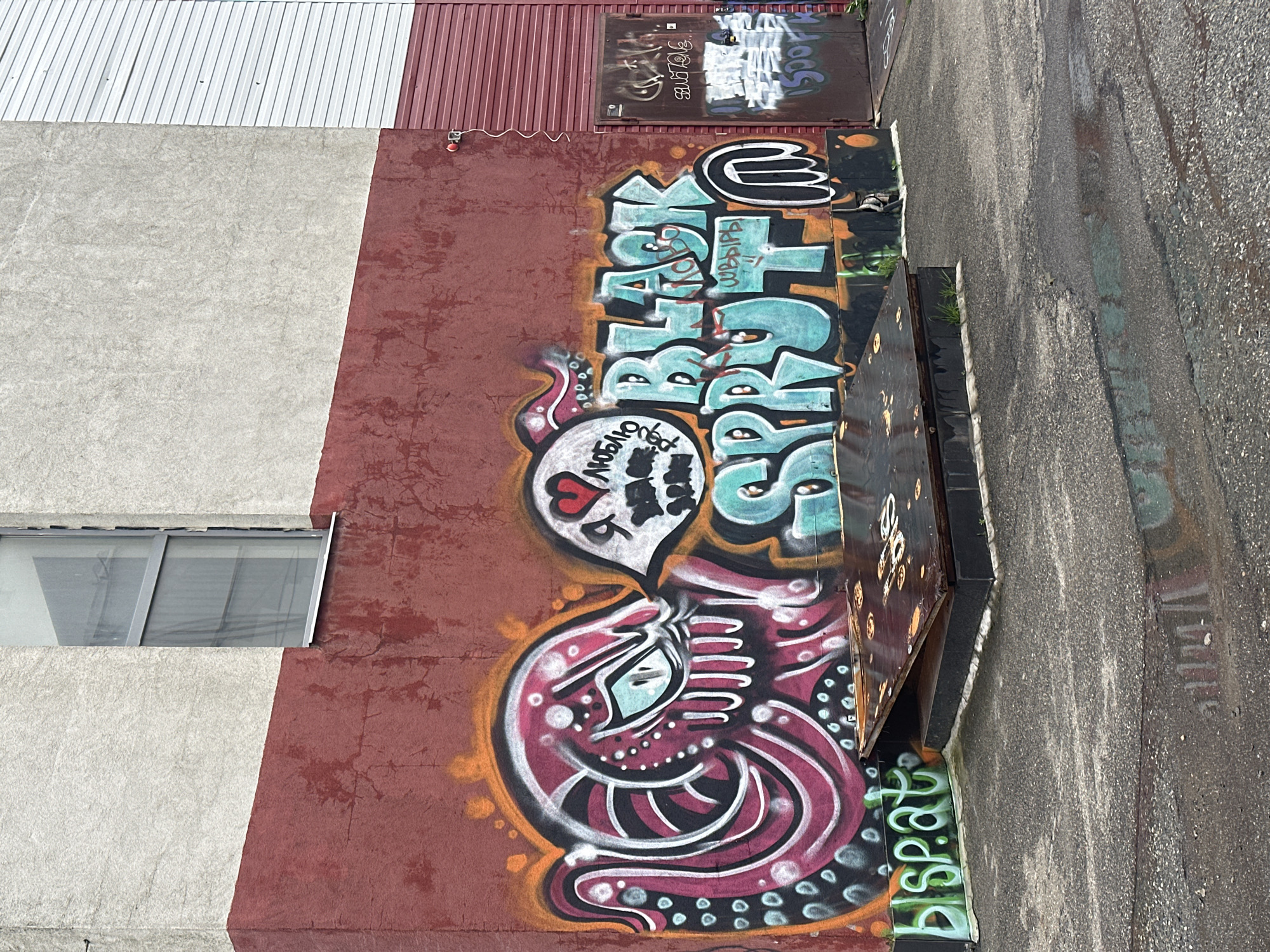 An exterior shot depicts a wall with graffiti. The wall is primarily a deep red color, with a section of lighter gray to the left and a corrugated metal section above.
The graffiti features a large, stylized skull with a speech bubble containing a heart symbol and illegible text. Above the skull are the words "SPIRIT BRUTAL BLACK". Another section of graffiti is visible above, but the text is illegible.
Next to the wall is a concrete surface or pavement. The location is unknown, but the prompt suggests it is in Stavropol, Russia. There are no people visible.