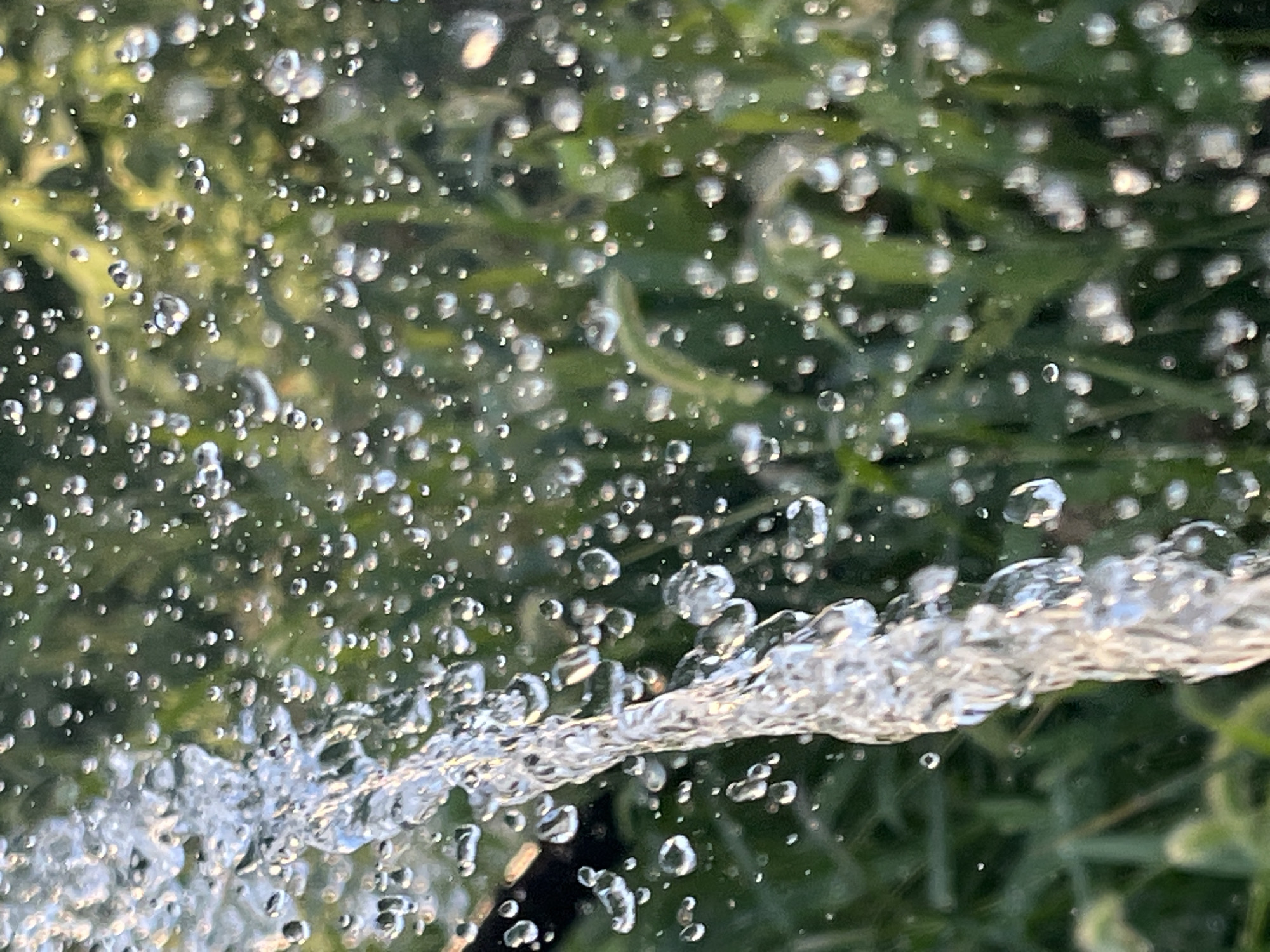 The image shows a close-up, low-angle view of a stream of water being sprayed, with numerous water droplets suspended in the air against a blurred green background of foliage. The water stream, on the left side of the frame, is in sharp focus and appears to be a concentrated jet, with individual droplets visible along its edges. The background, which is out of focus, consists of lush green leaves and plants, suggesting an outdoor environment. The lighting suggests it is daytime, with sunlight reflecting off the water droplets, creating highlights and a sense of motion. The image does not contain any people or discernible urban features, making it impossible to associate it with any specific location within Krasnyye Barrikady, Russia.