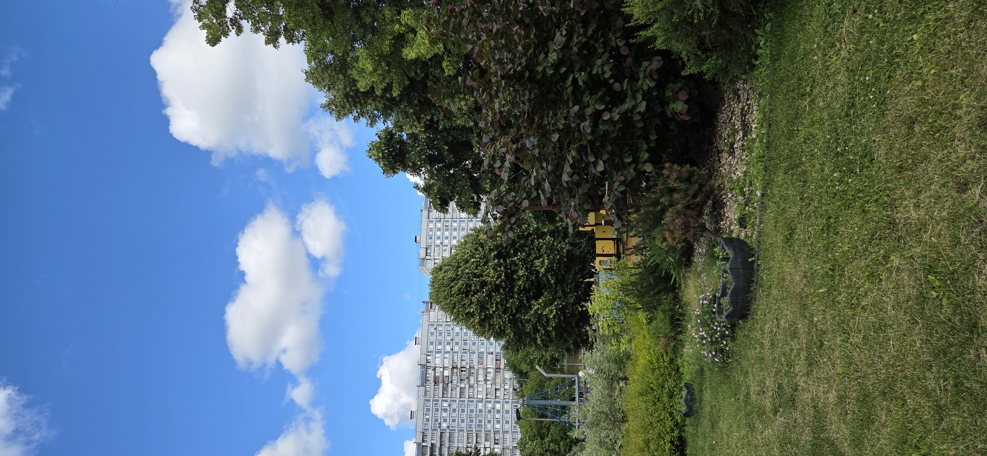 The image captures a bright, sunny day in a residential area, likely in Moscow, Russia, given the characteristic architecture of the buildings. In the background, a long, multi-story apartment building with numerous windows and balconies dominates the skyline. The building appears to be typical of Soviet-era mass housing projects, suggesting a well-established urban neighborhood. In the middle ground, a dense arrangement of trees and shrubs creates a lush green barrier between the apartment building and the foreground. Among the foliage, elements of a children's playground are visible, including a climbing structure with blue ropes and a yellow playhouse. The foreground consists of a grassy lawn, with a few dark, decorative planters, one containing small pink flowers, and scattered pebbles. The sky is a vibrant blue, dotted with fluffy white clouds, indicating fair weather. The overall scene suggests a peaceful, everyday environment, blending urban living with green spaces and recreational facilities for residents.