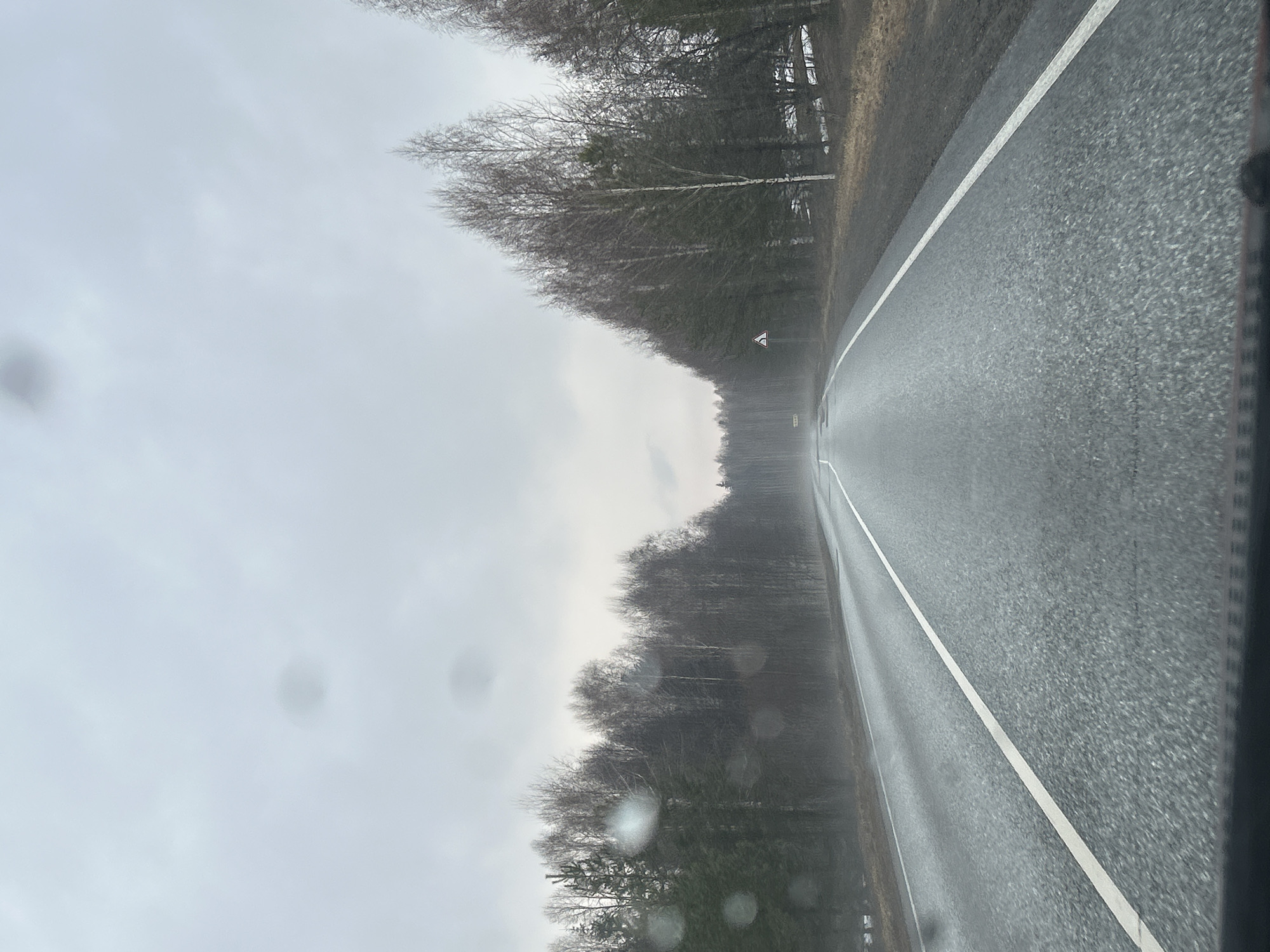 The image shows a road running through a forest on an overcast day. The road has a solid white line marking the edge of the lane. Trees line both sides of the road, and the sky is gray and cloudy. The location appears to be Belaya Gora, Russia, based on the presence of birch trees, which are common in the region, and general landscape features. There are no people visible in the frame. The scene is wet, suggesting it is raining.