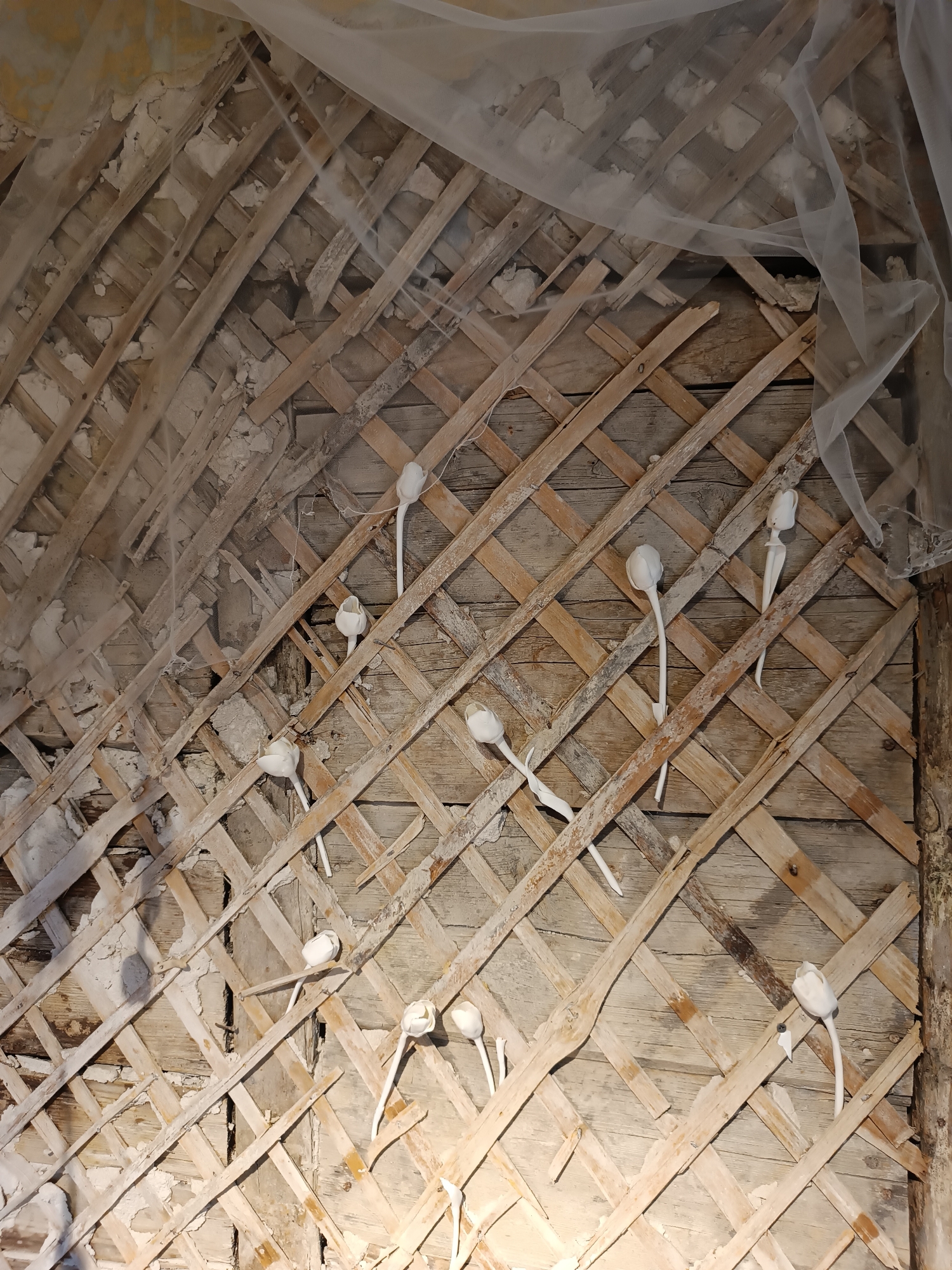The image shows a close-up view of a wall under renovation, with exposed lath and plaster. A sheer white fabric is draped over the upper portion of the wall. Several white, tulip-shaped objects are attached to the lath structure at various points. The wall appears to be located in an interior space. The specific location in Yelets, Russia cannot be determined from the image.