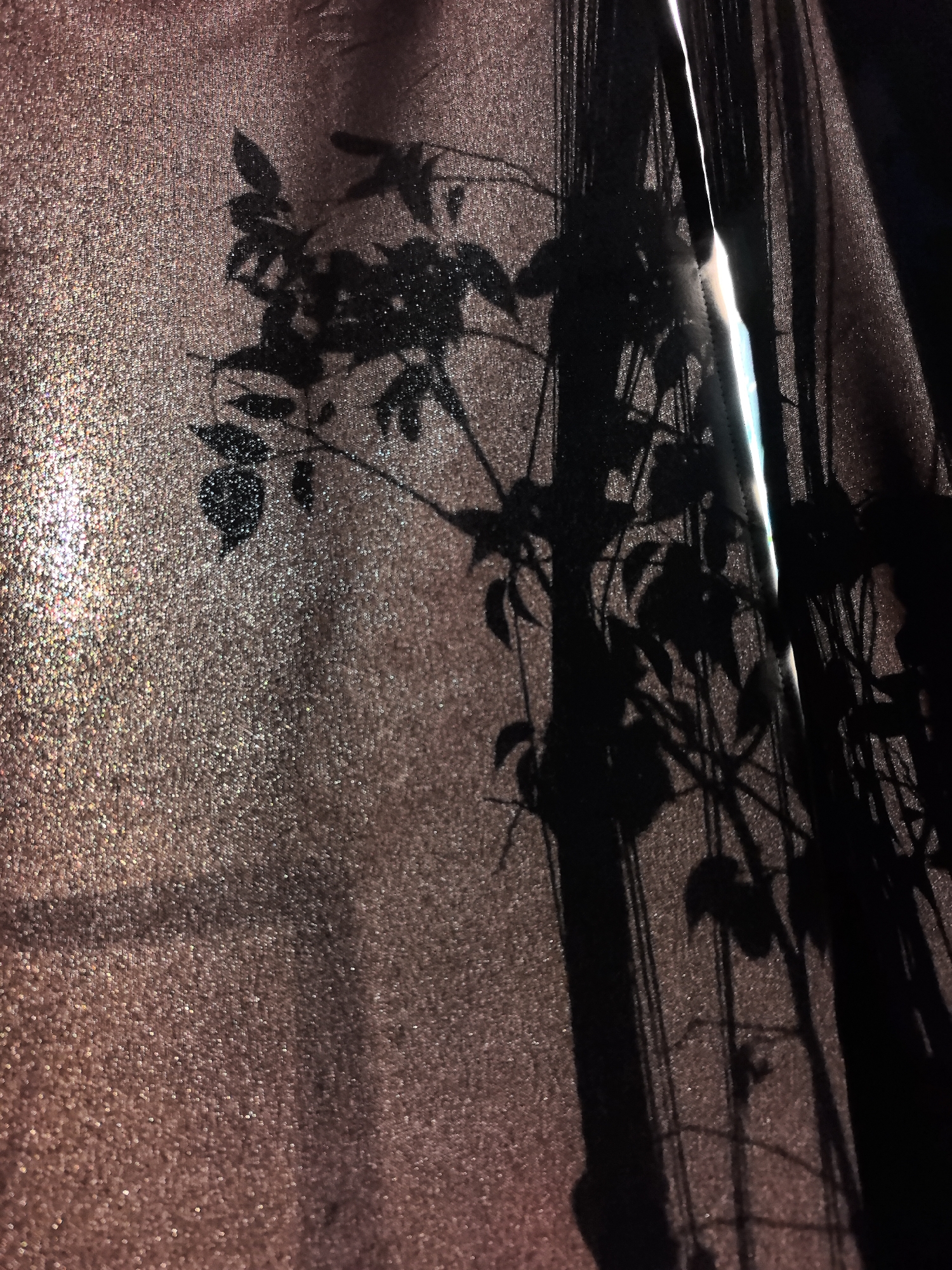 The image displays a dappled shadow of plant foliage cast upon a textured, rose-gold fabric. The fabric has a granular appearance, with many small, reflective particles. To the right of the fabric, a vertical slit of bright light pierces through, illuminating the scene with an ethereal glow and creating a distinct separation between areas of light and shadow. The plant's shadow is detailed, showing delicate branches and leaves. The overall impression is one of an indoor setting, perhaps a room with a window covered by this decorative fabric, where sunlight is filtering through, casting the shadow of nearby plants. There is no discernible location in Noviy, Russia, indicated within the image.