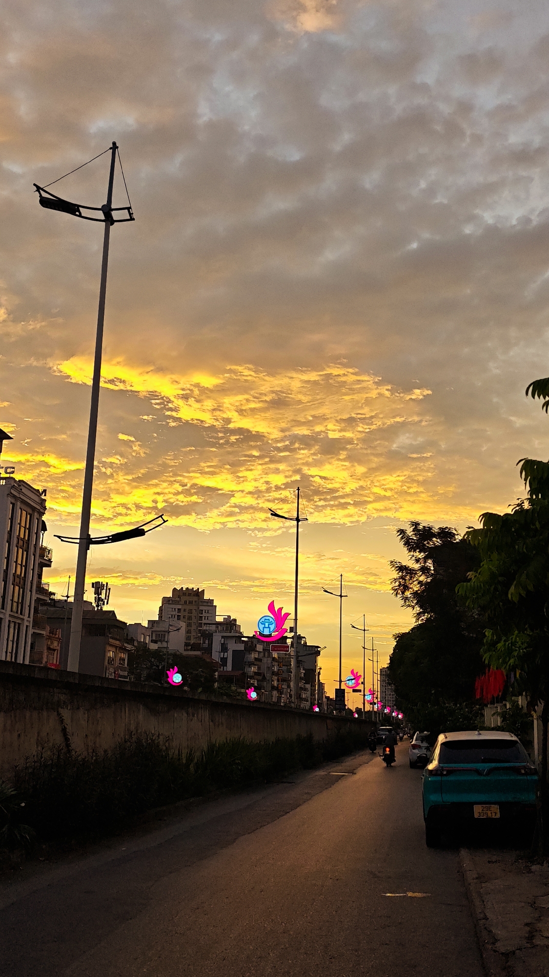 This media file captures a vibrant sunset scene in Hanoi, Vietnam. The sky is dominated by dramatic clouds painted in hues of fiery orange and golden yellow, with streaks of grey suggesting the transition from day to night. The light of the setting sun casts a warm, golden glow across the asphalt road in the foreground.
Along the side of the road, a low concrete wall is lined with lush, dark green vegetation. Above the wall, a row of multi-story buildings forms the urban backdrop, their facades illuminated by the warm light. Scattered along the road are several tall streetlights, their silhouettes stark against the dramatic sky. Adding a touch of festivity, decorative lights in the shape of pink lotus flowers with blue centers are strung along the street, some glowing in the fading light.
Several vehicles are visible on the road, including a motorbike in the middle ground and a teal-colored car parked on the right side of the frame. The car has a license plate that reads "29E 339.17". The overall mood of the image is serene and picturesque, conveying the beauty of a city at dusk. The presence of the decorative lights suggests a possible festive occasion or celebration.