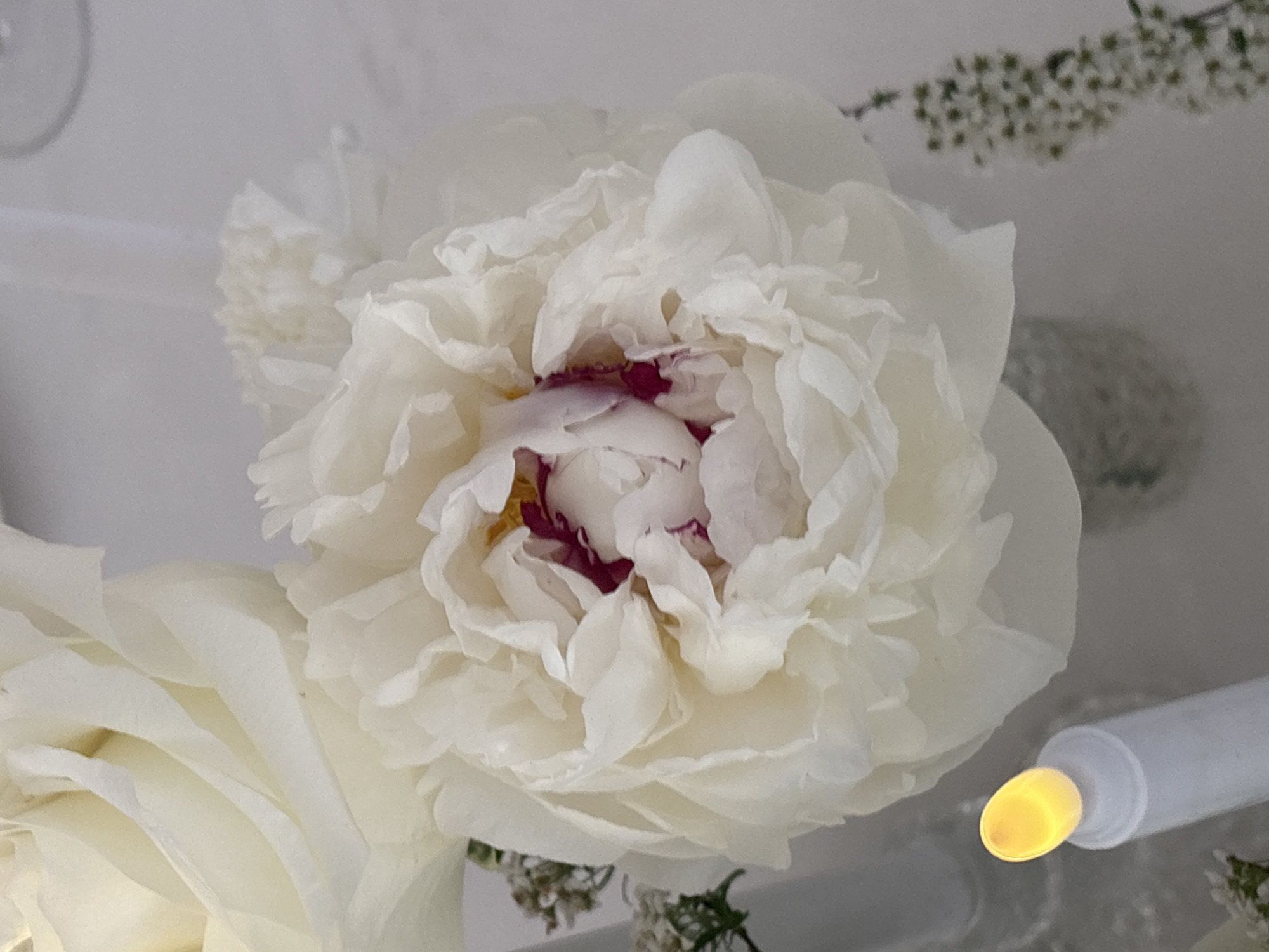 A close-up shot shows a white peony flower with ruffled petals. The center of the flower has hints of pink and yellow. Parts of other white flowers are visible in the lower-left corner. In the bottom right, there is a white cylindrical object with an orange-yellow light at the end. Small green leaves and stems are present near the bottom. The location given is Нижние Муллы, Russia.