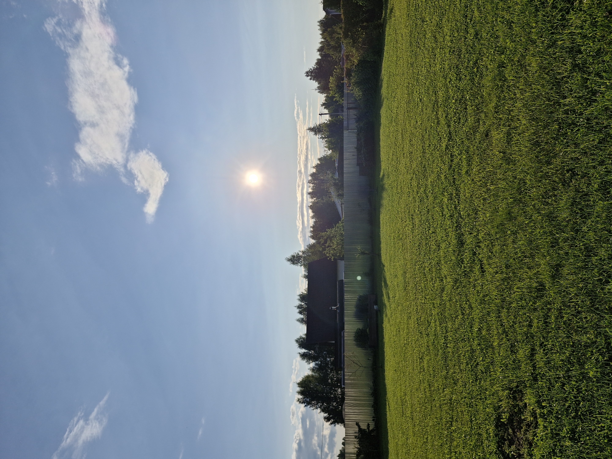 The image depicts a sunlit outdoor scene in the city of Sorochkino, Russia. In the foreground, a lush green lawn stretches across the frame, casting soft shadows from the late afternoon sun. A corrugated metal fence runs horizontally across the middle ground, separating the lawn from a line of trees and a building beyond. The trees are a mix of deciduous and coniferous varieties, with their foliage appearing dense and green. A dark-roofed house is partially visible behind the trees, with a chimney on its roof. The sky above is a clear blue, dotted with a few wispy white clouds, and the sun is a bright, radiant orb in the upper center of the frame, creating a lens flare. The overall impression is one of a peaceful, rural or suburban setting bathed in warm sunlight. There are no people or animals visible in the image.
