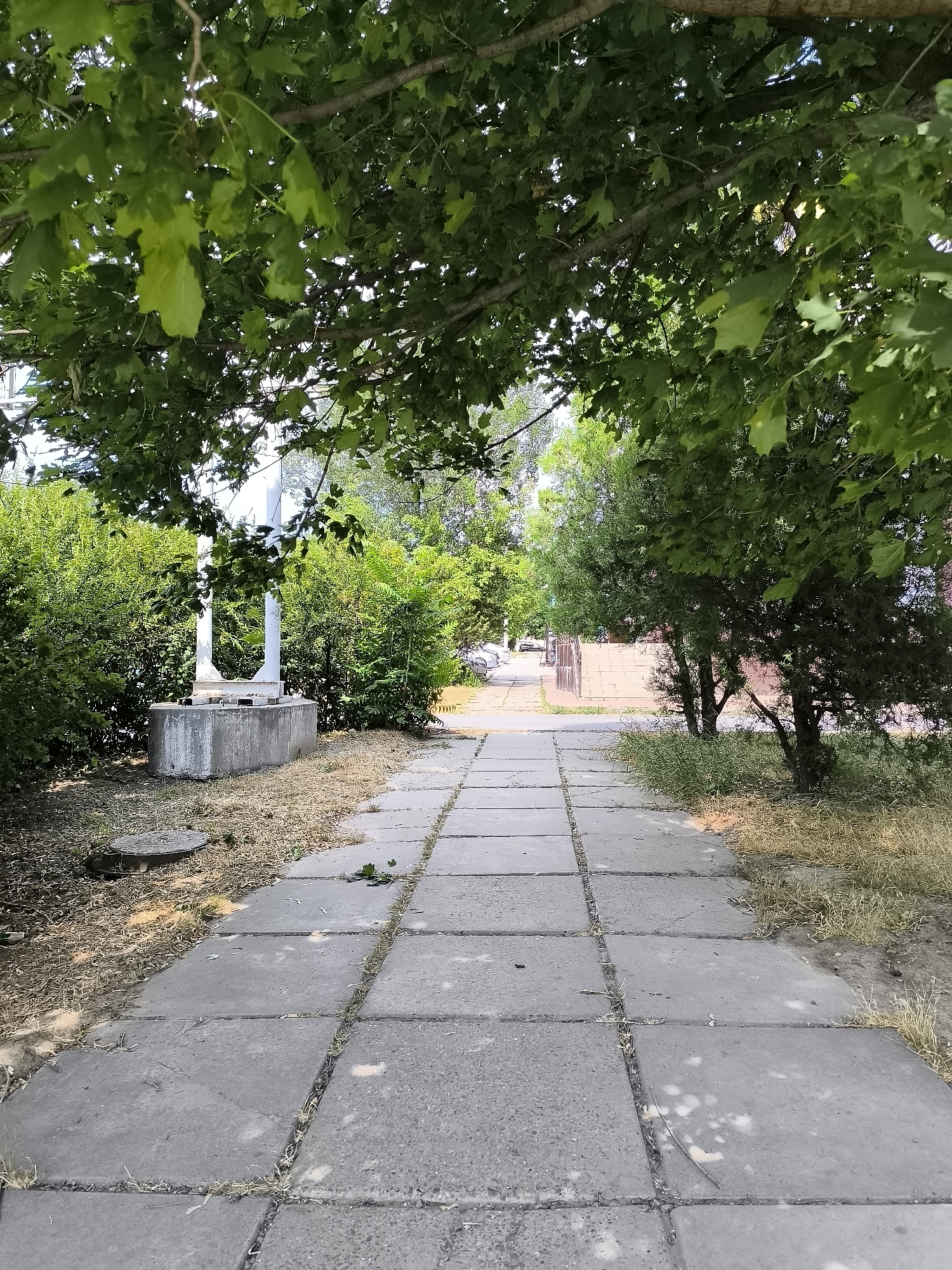 An eye-level, medium shot captures a concrete pathway leading away from the viewer under the dappled shade of mature trees. The pathway is constructed from large, square concrete slabs with grass and weeds growing between the cracks. To the left of the pathway, a concrete base supports two white columns, partially obscured by dense green bushes. A manhole cover is visible in the dry, grassy area to the left of the pathway, near the concrete base. Further down the path, the scene opens to reveal more greenery, a brick wall, and a street with parked cars in the distance. The overall impression is a quiet, slightly overgrown urban environment. The location is identified as Rybnitsa, Moldova.