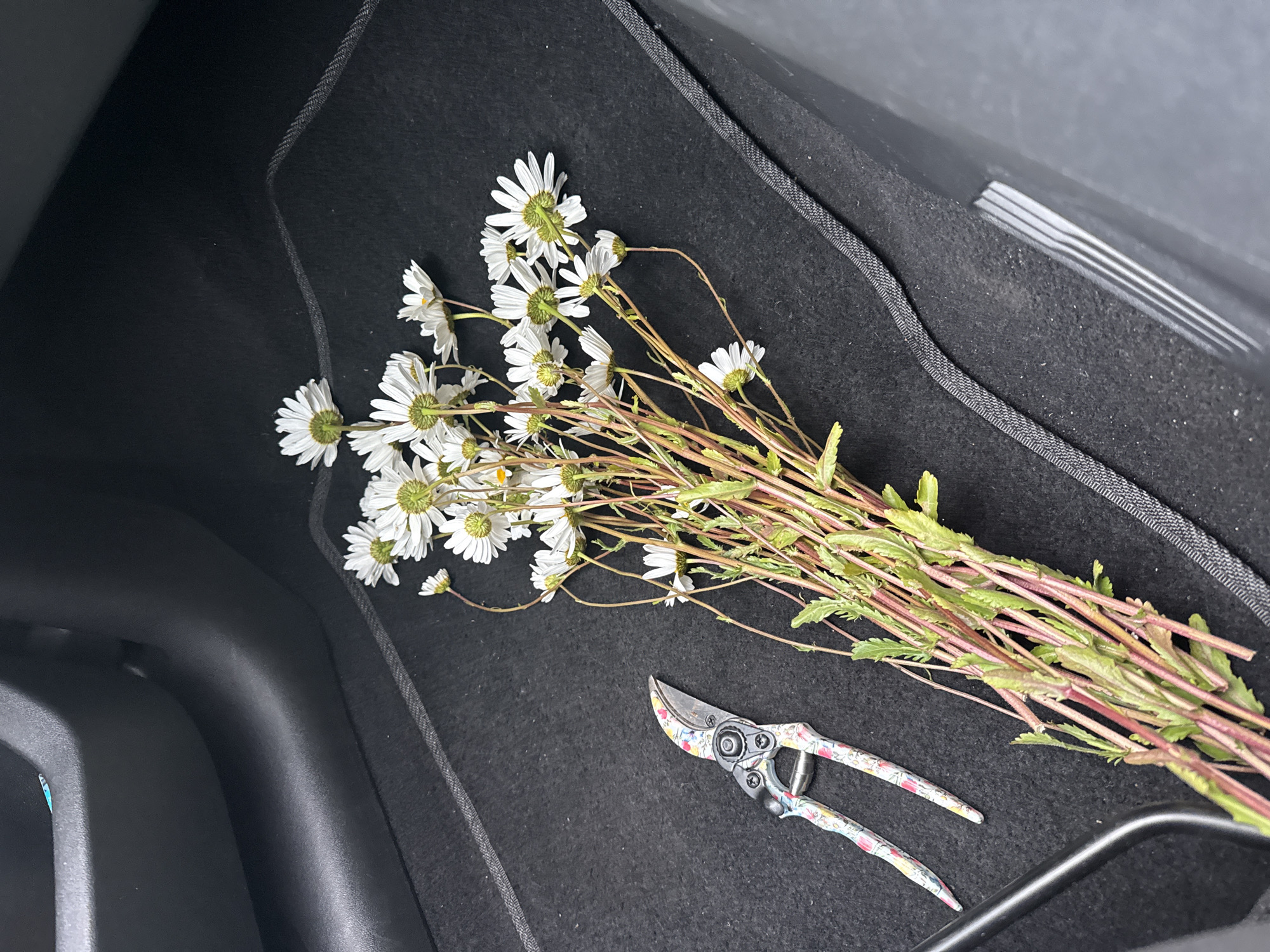 The image displays the interior footwell of a vehicle, specifically a dark grey or black carpeted floor mat with a textured black border along the right and lower edges. A cluster of white daisy-like flowers, featuring prominent green centers and reddish-green stems, lies on the right side of the mat. Many of the flowers are viewed from the underside, revealing their green calyxes. To the left of the flowers, a pair of pruning shears is positioned with its handles pointing towards the lower left. The shears have metallic blades and a colorful floral-patterned handle featuring hues of white, blue, pink, and yellow. Dark grey plastic vehicle interior components, likely part of the console or door, are visible along the upper and left periphery of the frame. A small, partially visible light blue object is tucked into a recess in the upper left corner. The scene is depicted as occurring in Great Yarmouth, United Kingdom, although no specific visual identifiers for this location are present within the image itself.