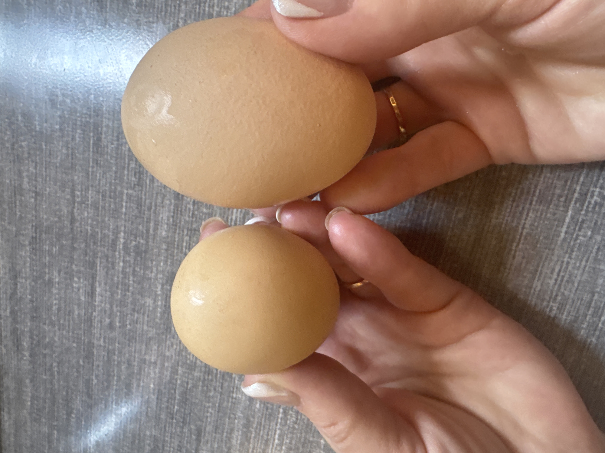 A person's hands, adorned with white nail polish and a gold ring, hold two tan-colored eggs. The background features a gray, textured surface. There is no evidence indicating this image was taken in Tashkent, Uzbekistan.