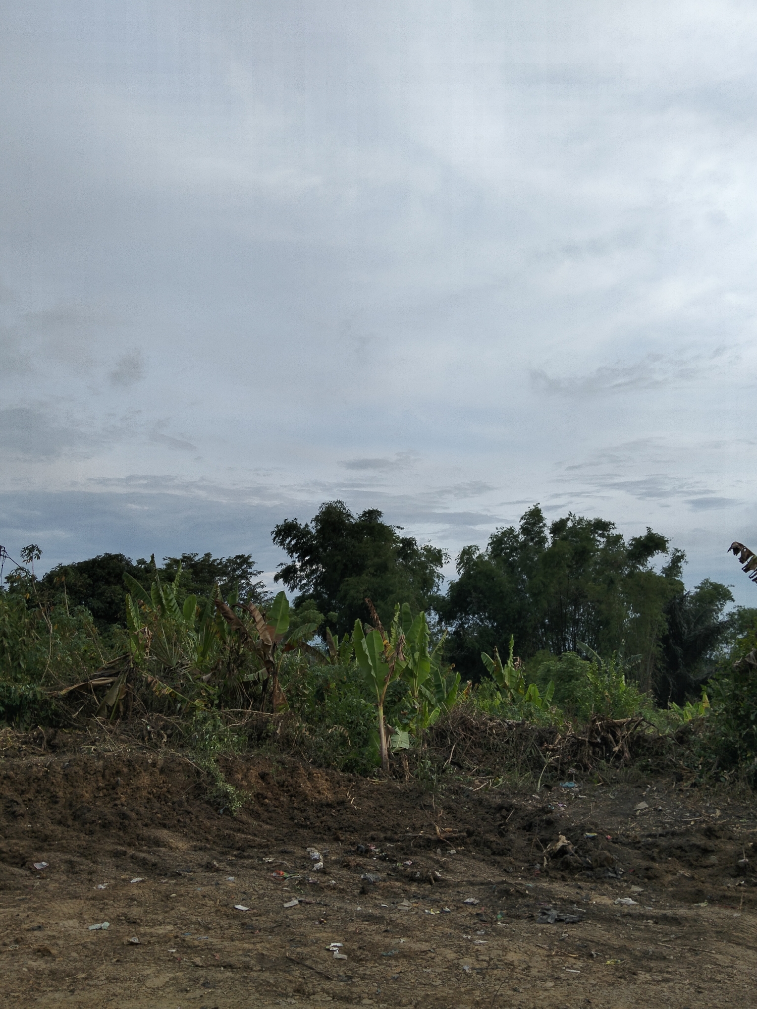 The image depicts an outdoor scene with a foreground of disturbed earth and scattered debris, leading to a dense growth of vegetation, including what appear to be banana trees. Behind the vegetation, a line of trees forms the midground, with a cloudy sky occupying the upper portion of the frame. The environment suggests a rural or undeveloped area, possibly on the outskirts of a populated region. The lighting indicates it is daytime, though the cloud cover creates a diffused light. There are no people or discernible actions taking place. The location is identified as Payagaboh, Indonesia.