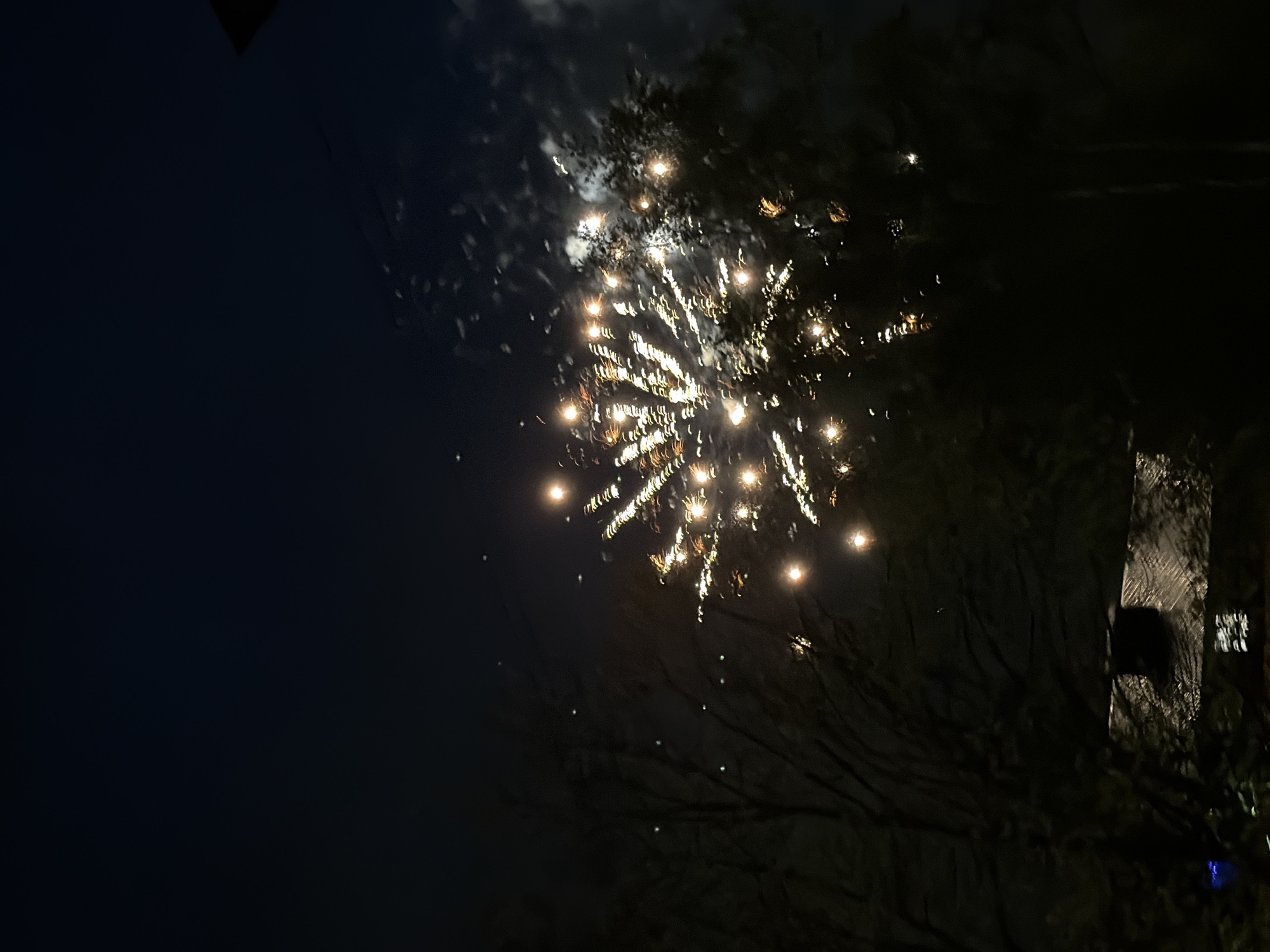 The image shows a nighttime scene, likely taken in Reshetnikovo, Russia. A firework display is the primary subject, with a burst of light and trails emanating from a central point in the upper-middle of the frame. The background consists of a dark sky on the left, and silhouettes of trees and a structure, possibly a building, on the right. The overall environment appears to be a residential area or park due to the presence of trees. The firework is the primary action taking place. There are no visible people in the frame.