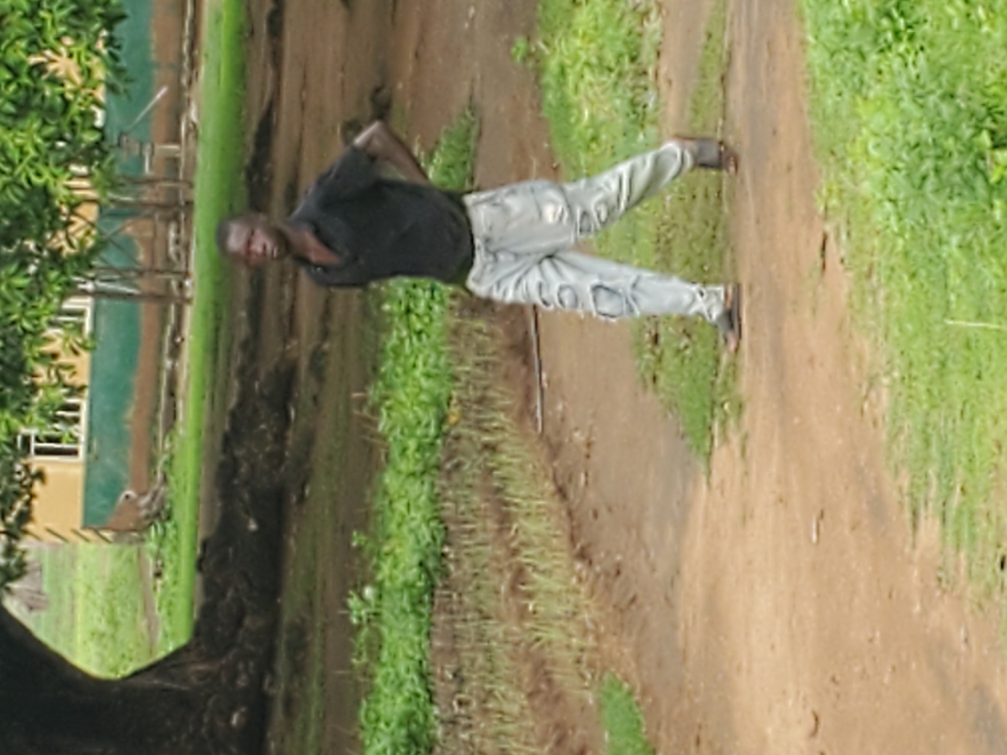 In Kabwir, Nigeria, a young Black male walks along a dirt path on a cloudy day. He is wearing a black collared shirt and light-colored, ripped jeans. He has his hands on his hips and is looking to the left. The background shows a large tree on the left, lush green grass, and a building with green and yellow accents on the right.