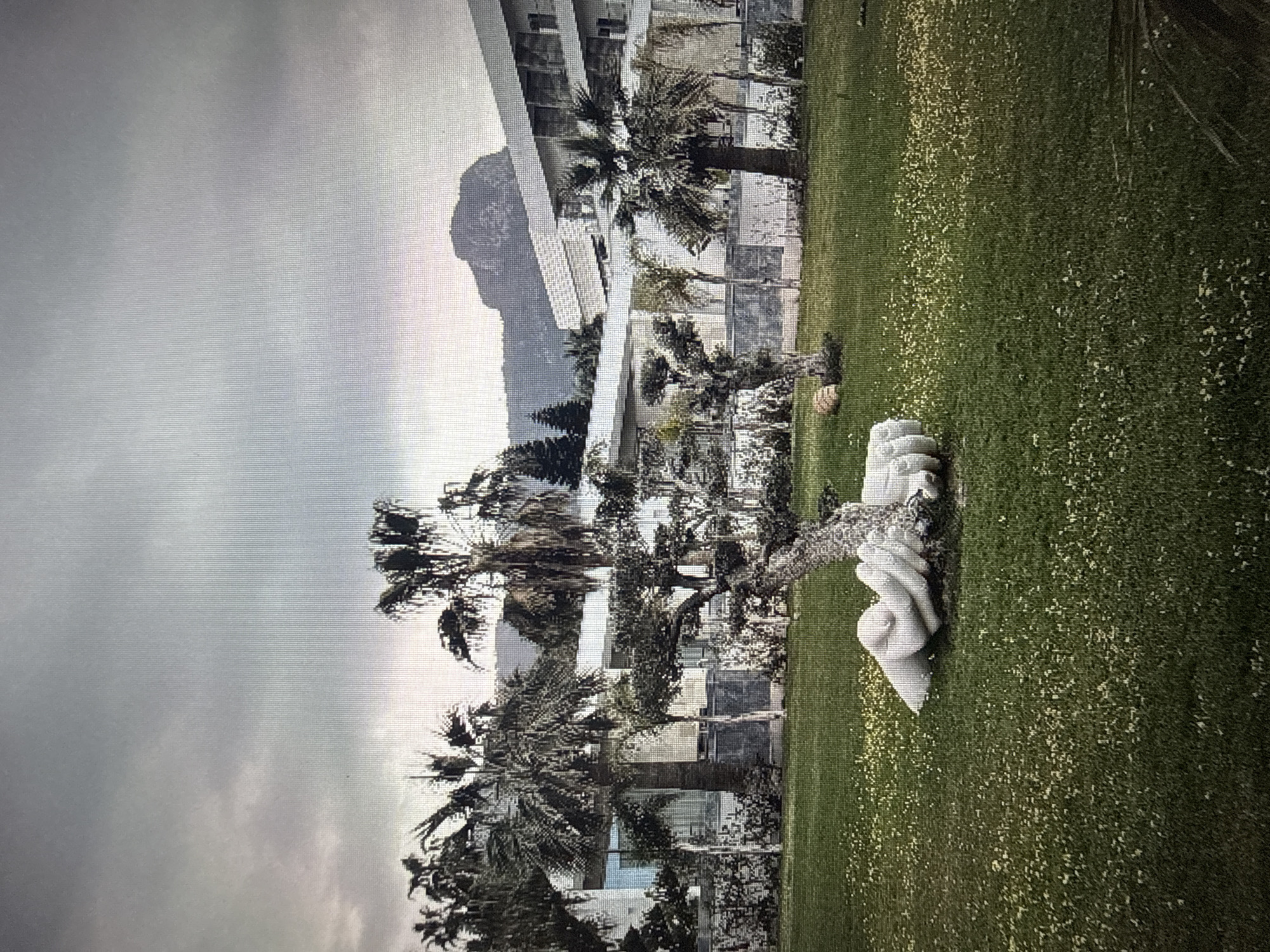 The image depicts a serene outdoor scene, likely in Eyüpsultan, Turkey, under a cloudy sky, suggesting either early morning or late afternoon. The foreground is dominated by a lush green lawn dotted with small yellow flowers, hinting at a pleasant spring or summer day. To the right of the lawn, a modern building with clean lines and large glass windows stands prominently, surrounded by palm trees and other vegetation.
A striking art installation of two abstract, white stone hands reaching towards each other from opposite sides of a tree is the focal point of the scene. The hands are smooth and elegantly curved, creating a sense of connection and perhaps contemplation. The tree itself appears somewhat slender, its leaves rendered in a slightly blurred fashion due to the angle of the photograph.
In the background, a majestic, rocky mountain looms, its form softened by the overcast weather. The overall atmosphere is peaceful and contemplative, with the natural beauty of the landscape complemented by the artistic human element. The cloudy sky contributes to a diffused, soft lighting across the scene, and the image's orientation is on its side.