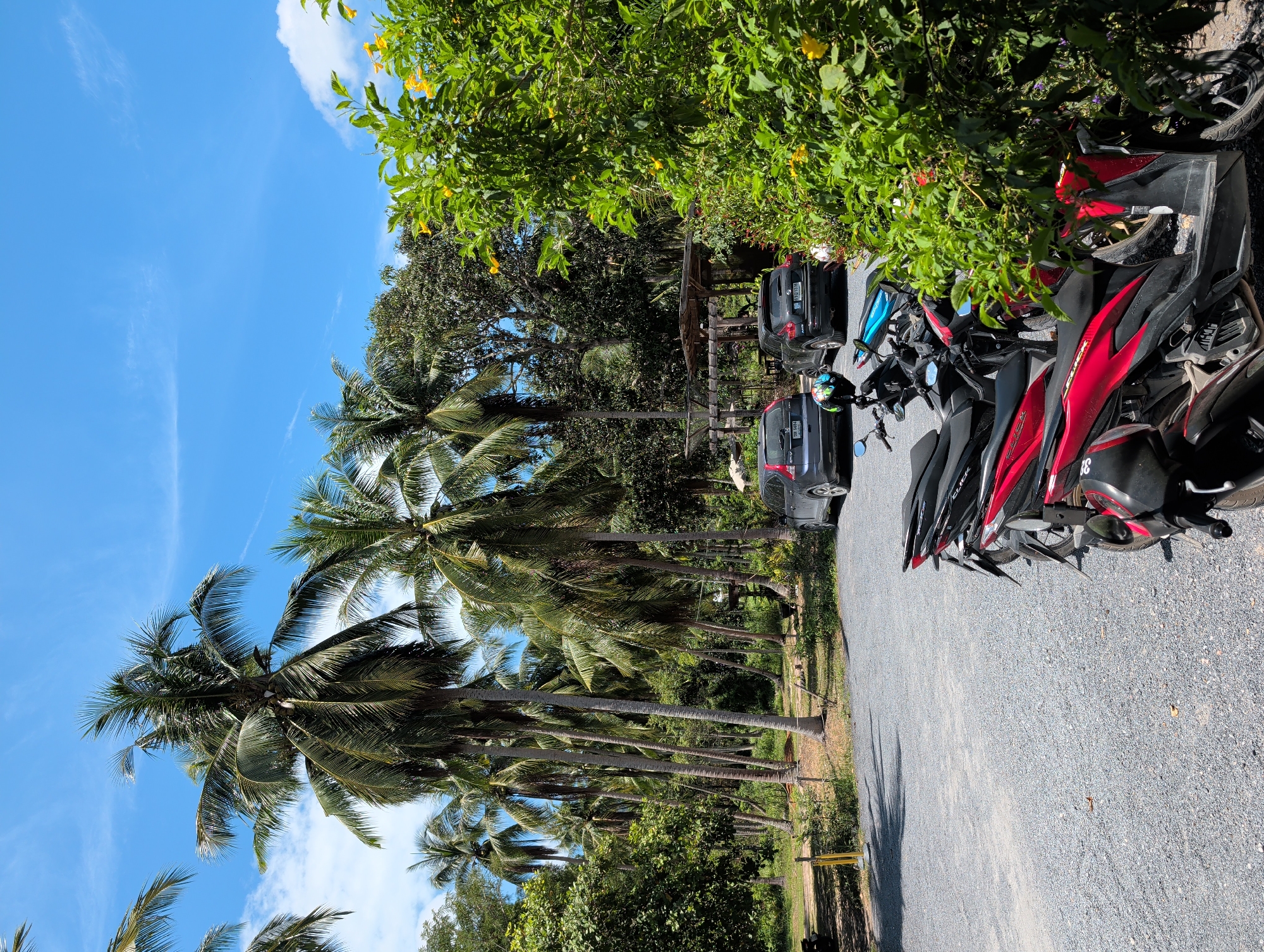 The image depicts a parking area in ตำบลเกาะพะงัน, Thailand. Several motorcycles are parked on a gravel surface, adjacent to a line of palm trees. Two cars are also visible behind a wooden structure. Lush greenery is present, with trees and flowering plants bordering the parking area. The sky is blue with scattered clouds.
