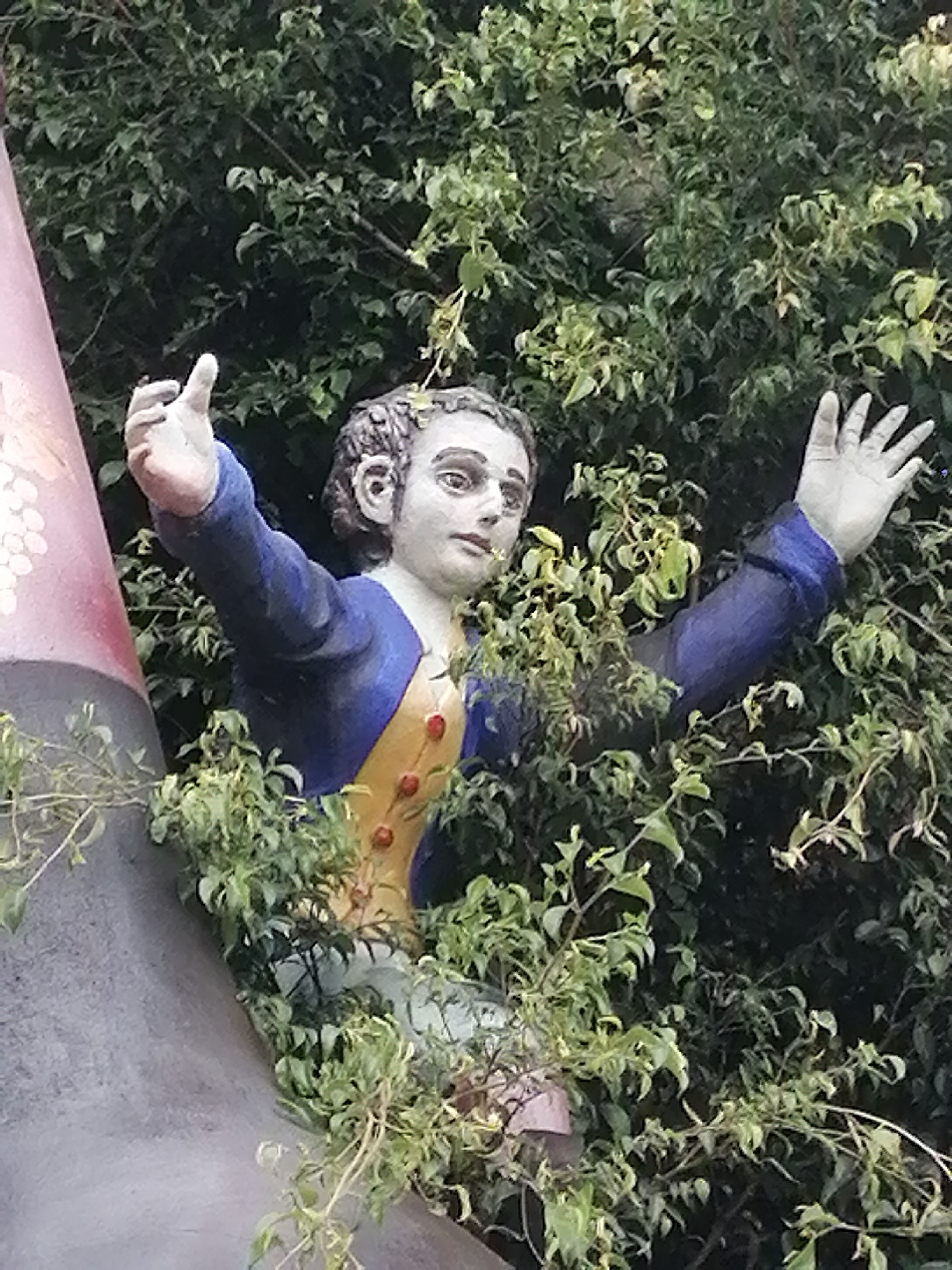 The image features a statue of a young man or boy, prominently positioned amidst dense green foliage, suggesting an outdoor garden or park setting. The statue has a pale complexion, dark, curly hair, and wears a blue jacket over a bright yellow vest with three red buttons. His arms are outstretched; his left hand (right side of the image) is open with splayed fingers, while his right hand (left side of the image) is partially obscured, appearing to point upwards with curled fingers. The statue's lower body is largely hidden by the surrounding leaves, creating the impression of him emerging from the greenery.
On the far left, a large, dark gray structure with a reddish-pink, conical top is visible. This top section is decorated with white, grape-like patterns. The lighting suggests daytime with soft, diffused light, as there are no harsh shadows. The statue's facial expression is somewhat neutral, possibly pensive or mildly surprised, with slightly parted lips. The pose of the figure, with outstretched hands, could imply a welcoming or gesturing action. No text is visible in the image. The scene conveys a tranquil, artistic integration within nature, characteristic of scenic locations like Cam Ly in Đà Lạt, Vietnam.