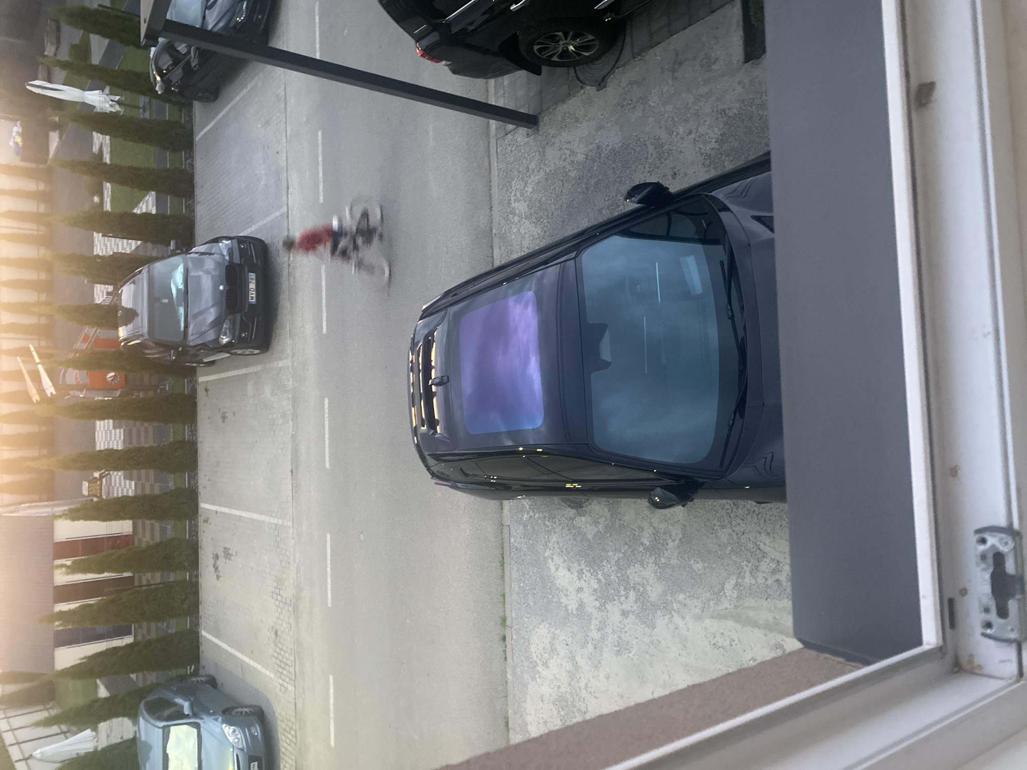 The image depicts a scene in the city of Novi Petrivtsi, Ukraine, likely a residential or commercial parking area. In the foreground, a black SUV with a panoramic sunroof is parked on a concrete surface. The sunroof reflects a purple sky, suggesting it's either dawn or dusk. Further back, a black BMW SUV is parked, and to its right, a black sedan is visible. A person on a bicycle is in motion on the asphalt road in front of the parked cars, creating a motion blur. The background features a row of tall, slender evergreen trees lining a fence, with structures and what appears to be a building with a white awning or umbrella visible behind them. A light blue car is parked in the upper left corner of the image. The overall lighting suggests a low sun angle, casting long shadows and creating a warm glow.