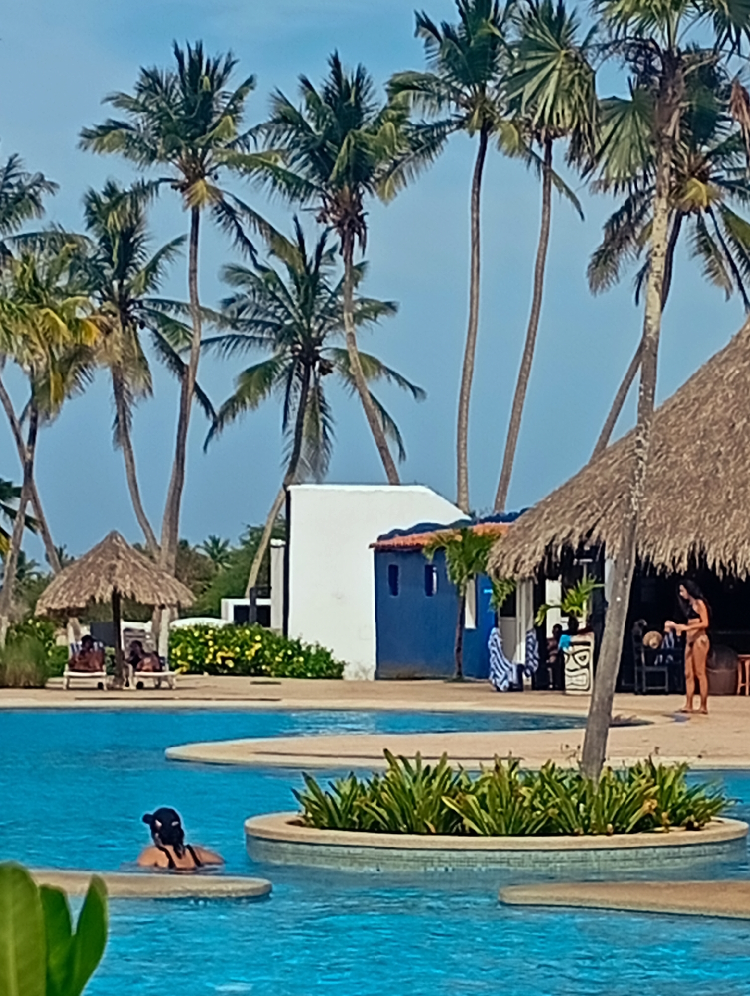 The scene depicts a tropical resort location in Playa El Agua, Venezuela. The foreground features a multi-level swimming pool with a woman in the water wearing a dark cap and swimwear. A small, round island with green plants is positioned within the pool area.
Behind the pool are several palm trees set against a light blue sky. Several structures dot the perimeter of the pool. There's a small straw-roofed hut where people are lounging on chairs. A white building with a staircase and a smaller blue structure are also present. Next to the white structure is a tiki bar with a thatched roof. A woman in a bikini is standing near the bar. People are seated and standing inside the bar area.