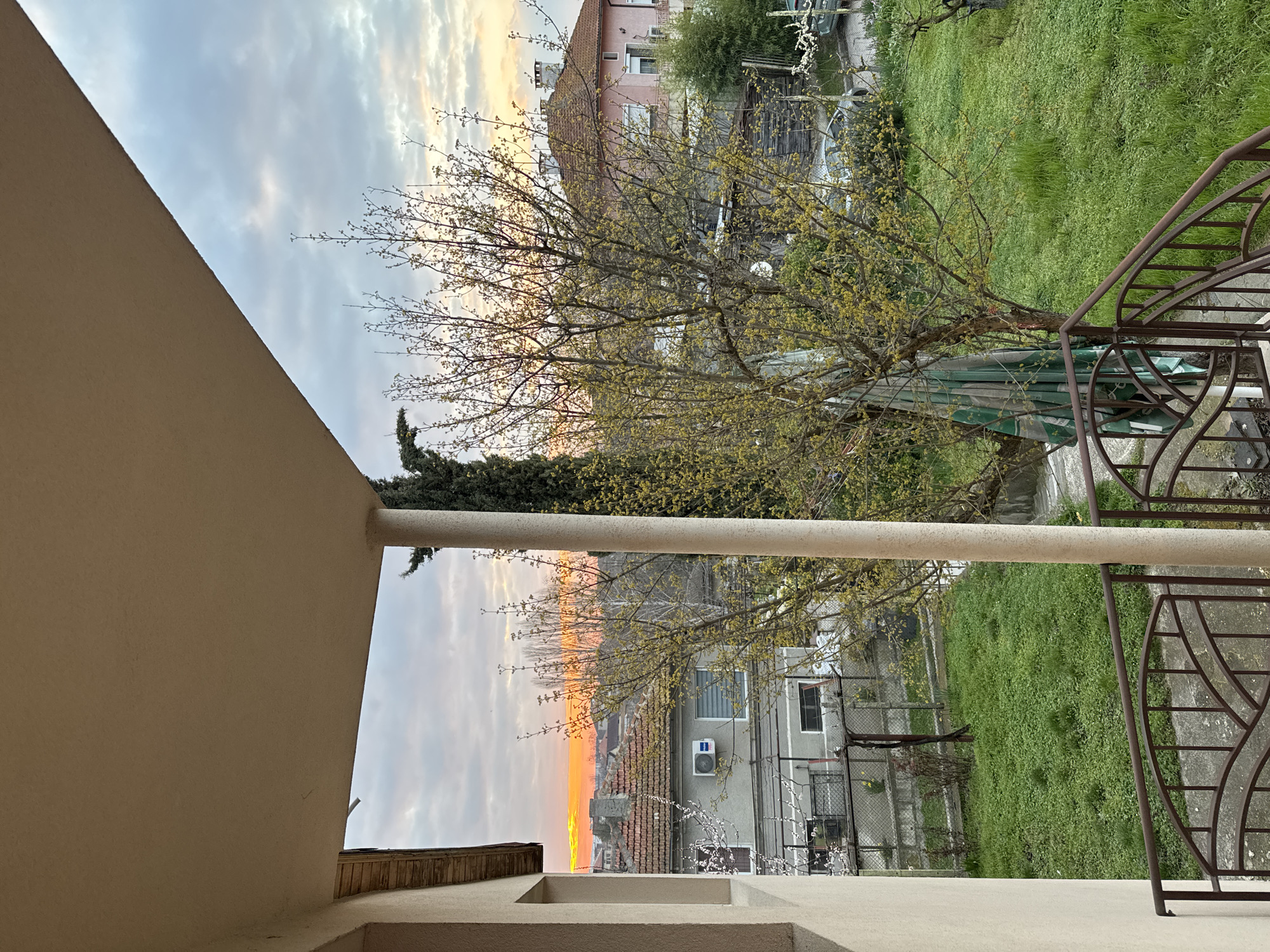 A view from a balcony shows the city of Topoli, Bulgaria at sunset. The sky displays shades of orange and yellow near the horizon, fading into a cloudy grey above. In the middle ground, a tree with budding green leaves dominates the view, partially obscuring a two-story building. The building is light pink with a brown roof. The ground is covered in green grass. On the right, a rusty iron railing frames the balcony's edge. On the left, part of the balcony's wall and a concrete pillar are visible. A glimpse of rooftops and structures is visible in the far distance below the sunset.
