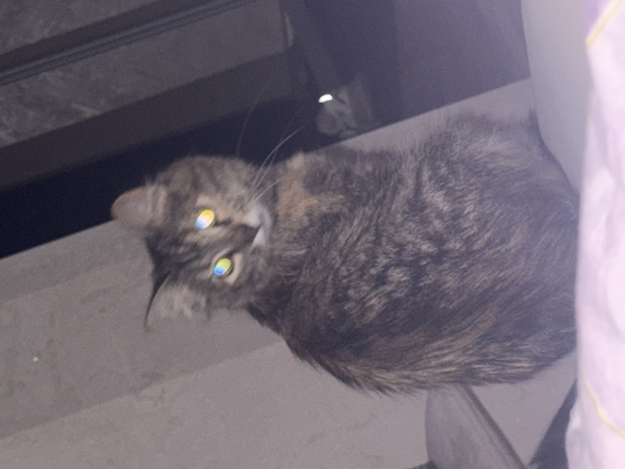 A tabby cat with brightly colored, reflective eyes is perched on a surface, likely a bed or sofa, in a dimly lit room. The cat's fur is a mix of brown, grey, and black stripes. The background is dark and indistinct, with some lighter areas that could be walls or furniture. The image appears to be taken indoors at night. There is no information about the location in Saratov, Russia.