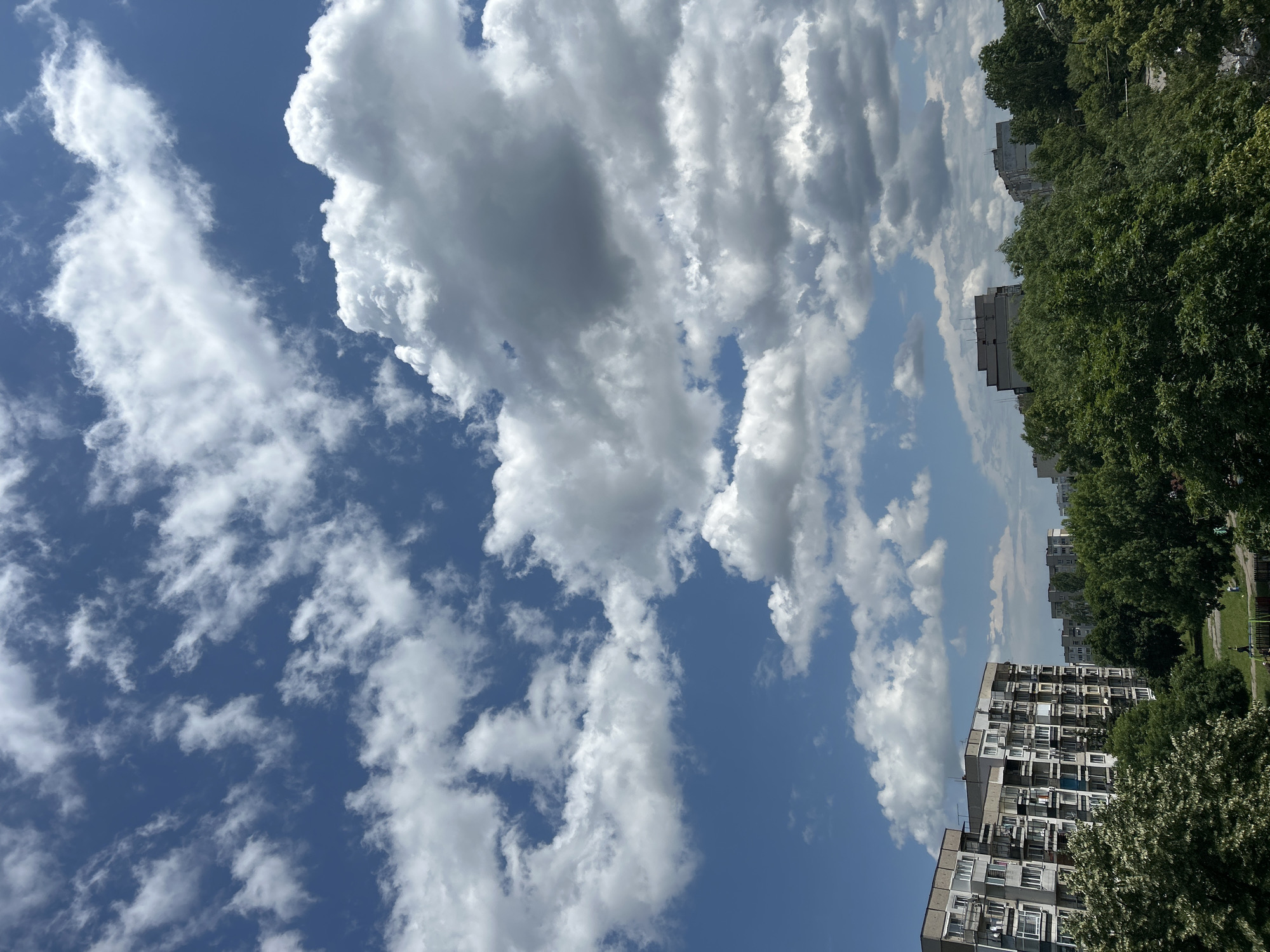 The image depicts an urban residential area in Sofia, Bulgaria, under a bright, partly cloudy daytime sky. The upper two-thirds of the vertical frame are filled with a clear blue sky, populated by numerous white and grey cumulus and stratocumulus clouds of varying sizes and densities. Some clouds appear wispy, while others are thick and shadowed.
In the lower third of the image, a dense canopy of vibrant green deciduous trees, fully in leaf, dominates the foreground and mid-ground. On the left side, a prominent multi-story concrete panel apartment building, typical of post-WWII Eastern European residential architecture, stands tall. This building features numerous small balconies, some with visible laundry and personal items, and its facade shows signs of age and weathering. Several other similar apartment blocks are visible further in the background, partially obscured by the extensive tree line.
Through the trees in the lower-center, a patch of green grass and a children's playground with blue and yellow equipment are discernible. A small human figure, likely a child, is visible near the playground structure. The scene is brightly lit by direct sunlight, casting soft shadows. The architectural style of the buildings confirms the location as an urban residential district within Sofia, Bulgaria.
