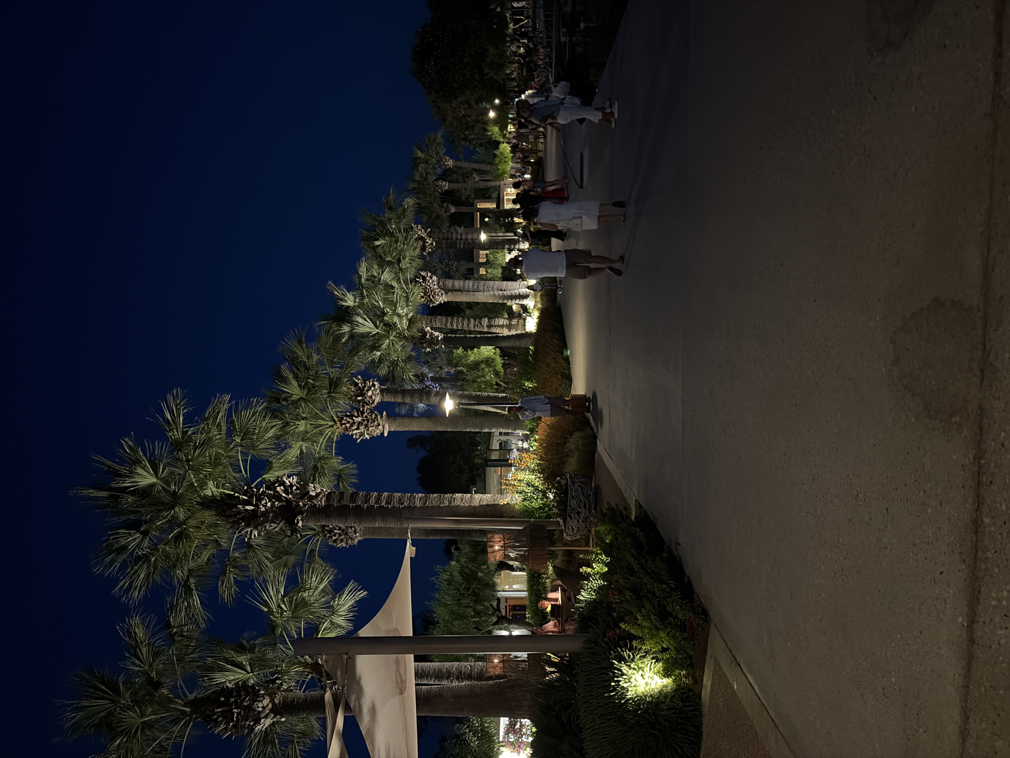 This image depicts a waterfront promenade in the municipal unit of Kassandra, Greece, at night. The scene is illuminated by artificial lighting, casting a warm glow on the pathway and surrounding vegetation. Several palm trees line the walkway, their fronds silhouetted against the dark night sky. A group of people are seen strolling along the promenade, some walking together, others individually. In the foreground, there are well-maintained green bushes, some of which are lit from below, creating an inviting ambiance. In the mid-ground, a man in a light-colored shirt stands near a lamppost, holding a suitcase. Further back, a building with lights on is visible, suggesting the presence of shops or restaurants. The overall atmosphere is peaceful and suggests a lively evening atmosphere at a coastal resort.