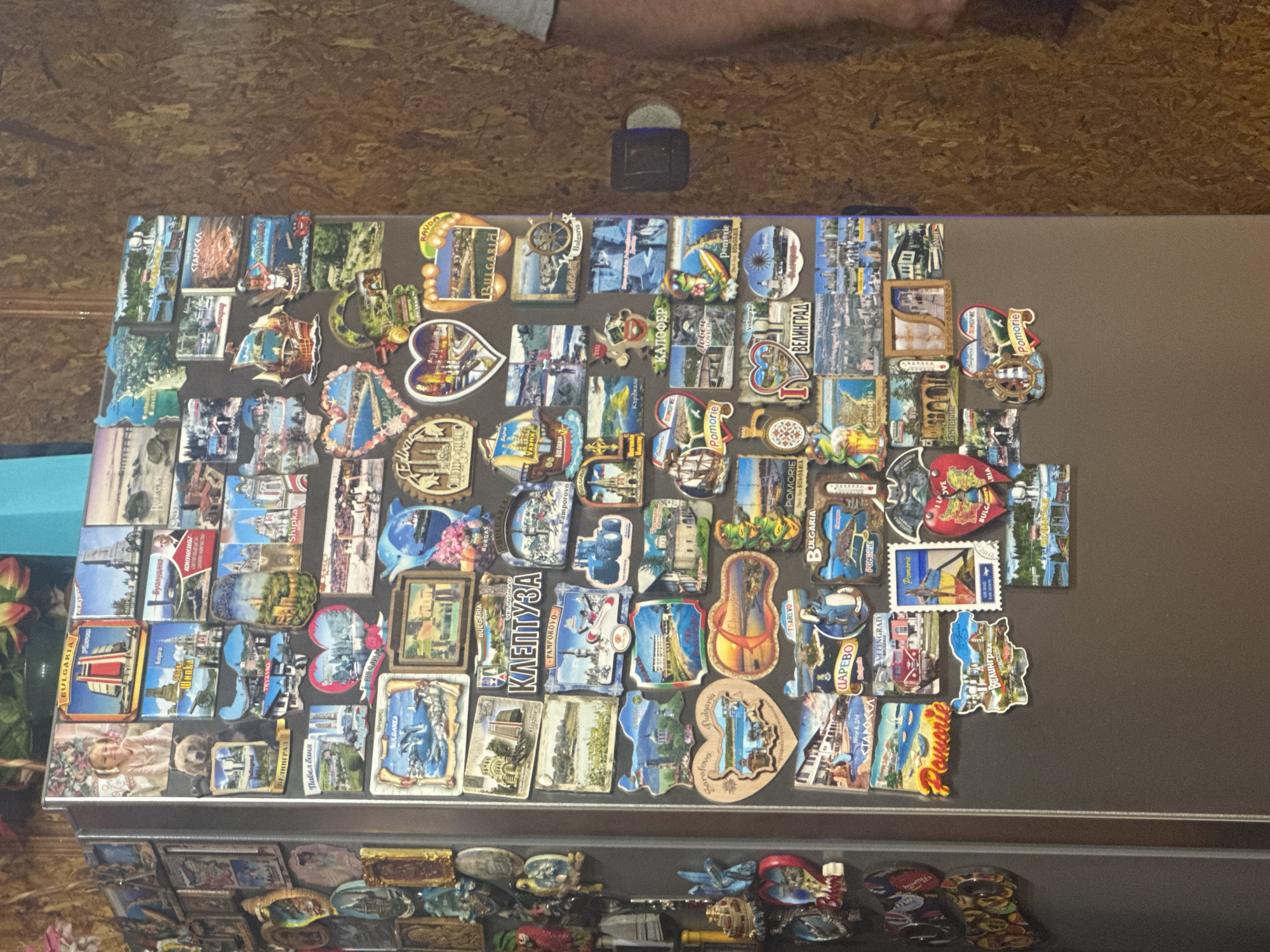 A vertical, silver-toned refrigerator, positioned centrally within an indoor setting, is densely covered with numerous souvenir magnets of various shapes, sizes, and designs. To the immediate left, a narrower, similarly colored vertical surface is also adorned with magnets and a few framed objects. The background on the right features a textured, light brown wall, possibly made of oriented strand board (OSB) or particle board. A partial view of a person's right arm and torso, wearing a light-colored short-sleeved shirt, is visible on the far right against this wall. A small, dark, rectangular object with a lighter circular component is attached to the wall behind the person's arm. At the top left, a green plant with some red foliage is partially visible, alongside a light blue, flat surface at the top center.
The magnets predominantly depict landscapes, cityscapes, historical landmarks, cultural symbols, and wildlife associated with Bulgaria. Many magnets explicitly bear the text "BULGARIA" and names of various Bulgarian cities and regions, including but not limited to Burgas, Varna, Nessebar, Sozopol, Pomorie, Stara Zagora, Veliko Tarnovo, Plovdiv, Koprivshtitsa, Kiten, Ravda, Tsarevo, Balchik, Pamporovo, Velingrad, Kalpaka, Pavel Banya, Shumen, Melnik, Golden Sands, Sunny Beach, Primorsko, Obzor, Sofia, Kaliakra, Lovech, Dobrich, Kazanlak, Ahtopol, Pravets, and Veliki Preslav. One magnet shows a smiling young girl with pigtails. Another magnet displays a man in a suit, accompanied by the text "КОМУНИЗМА" (Communism). Wildlife depicted includes a bear, dolphins, and a frog. The specific city of Sarnevo, Bulgaria, is not visibly identifiable within the image.
