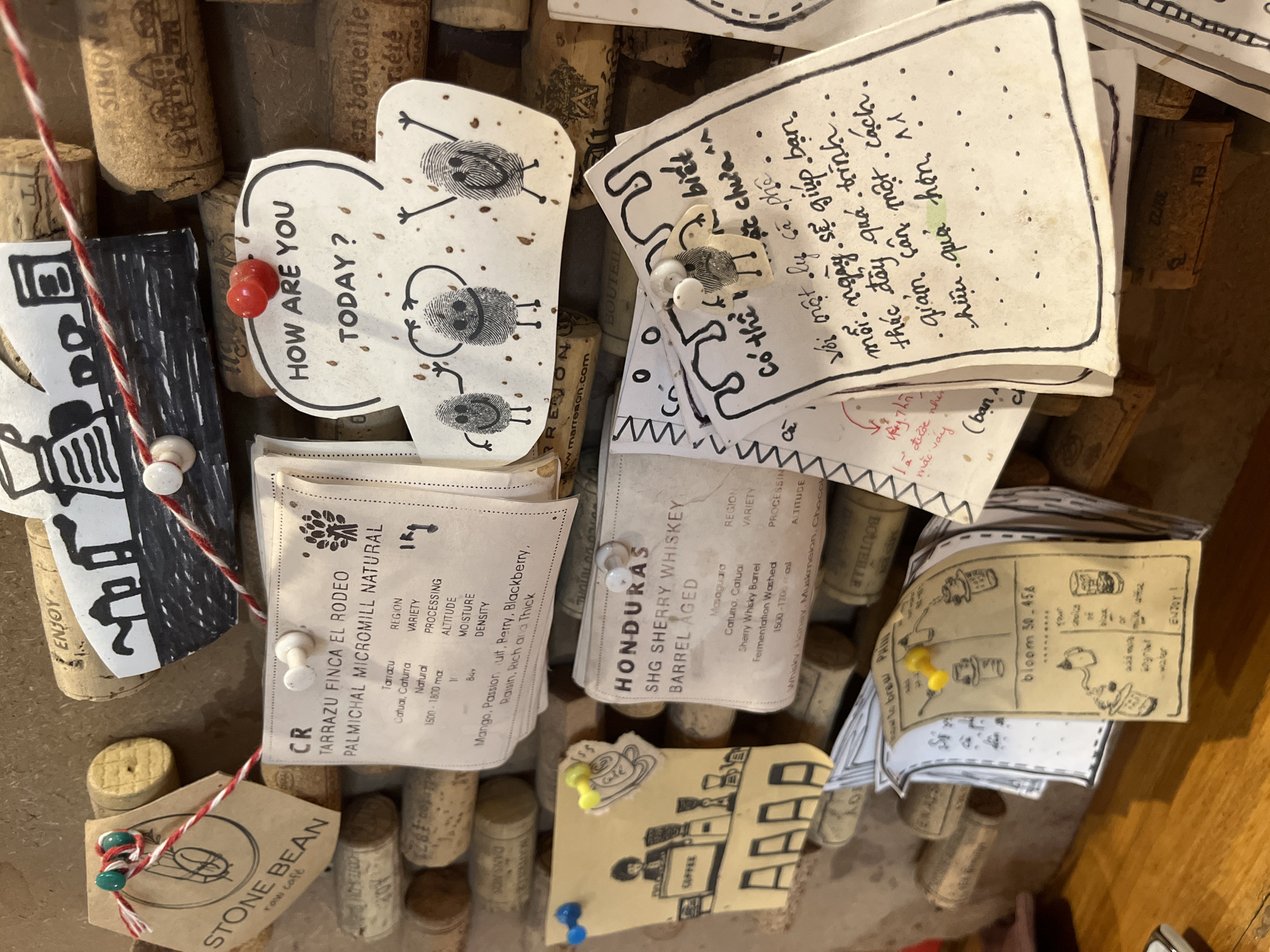 The image displays a close-up of a wall decorated with various coffee-related items, primarily pinned to a background of wine corks. The corks form a textured surface. Several small cards and tags are attached with pushpins.
On the left side, a tag with "STONE BEAN raw café" printed on it hangs from a string. Below this, a yellow card features a hand-drawn illustration of a coffee bar with a person behind it, and the word "COFFEE" above an abstract design of the letter "AAAA".
Towards the center, two larger cards provide details about coffee origins. One, pinned with a white pushpin, is labeled "CR TARRAZU FINCA EL RODEO PALMICHAL MICRO MILL NATURAL" and lists varietal information including region, processing, altitude, moisture, and density, along with tasting notes such as Mango, Passionfruit, Berry, Blackberry, Raisin, Rich and Thick. Another card, also pinned, states "HONDURAS SHG SHERRY WHISKEY BARREL AGED" with similar details about origin, varietal, processing, altitude, and tasting notes of Whiskey, Honey, Muskmelon, Chocolate.
Above these coffee origin tags, a whimsical drawing on a card reads "HOW ARE YOU TODAY?" and features three simple finger-print-like characters with arms and legs.
To the right and slightly lower, several handwritten notes on white paper are pinned. One note, in Vietnamese, appears to be a personal message or reflection, with the text partially visible including "có thể lý do" and "thức đẩy".
At the bottom center, a card titled "How to brew" with diagrams illustrating a brewing process is pinned with a yellow pushpin. It also includes the text "bloom 30-45s" and "Enjoy!".
The overall impression is a personalized and eclectic display, likely in a café or a coffee enthusiast's home. While the image does not explicitly show the city of Phu Thuy Ward, Vietnam, the presence of Vietnamese text on one of the notes suggests a connection to that region.