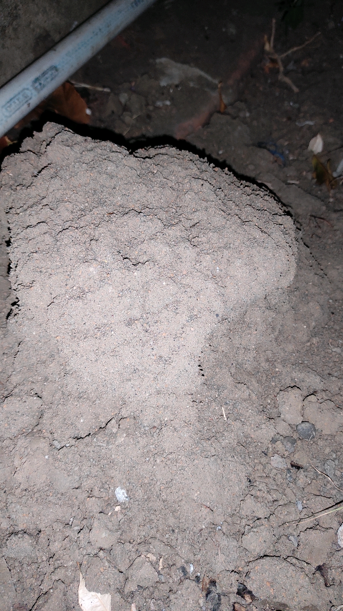 A pile of loose, dry soil with visible small pebbles is situated on the ground. A light-colored pipe or conduit runs diagonally across the upper left portion of the frame. The soil appears to be disturbed, with irregular mounds and crevices. The background is dark and out of focus, with hints of debris and vegetation. The scene suggests an outdoor environment, potentially a construction site or an area undergoing landscaping. The image lacks any evidence of human presence.
