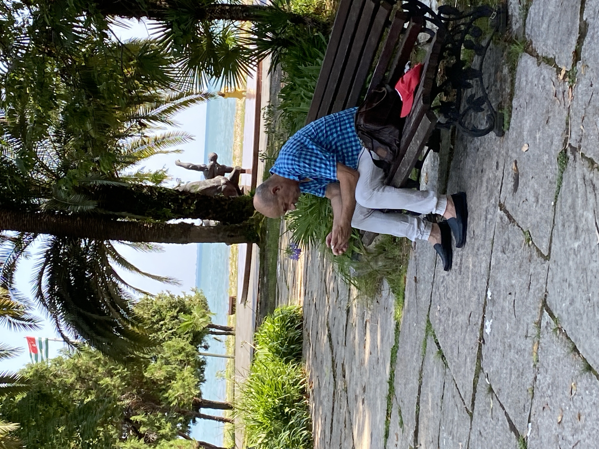 A bald, middle-aged man wearing a blue checkered shirt and light-colored pants sits on a dark wooden park bench, looking down at his phone. To his right on the bench are a dark brown leather bag and a red hat. The bench has decorative black metal legs. The man is positioned on a stone pathway in a park, with lush green foliage and palm trees surrounding him. In the background, a body of water, likely the sea, is visible, with a flag flying in the distance. The overall setting appears to be a public outdoor space in Sokhumi, Abkhazia.