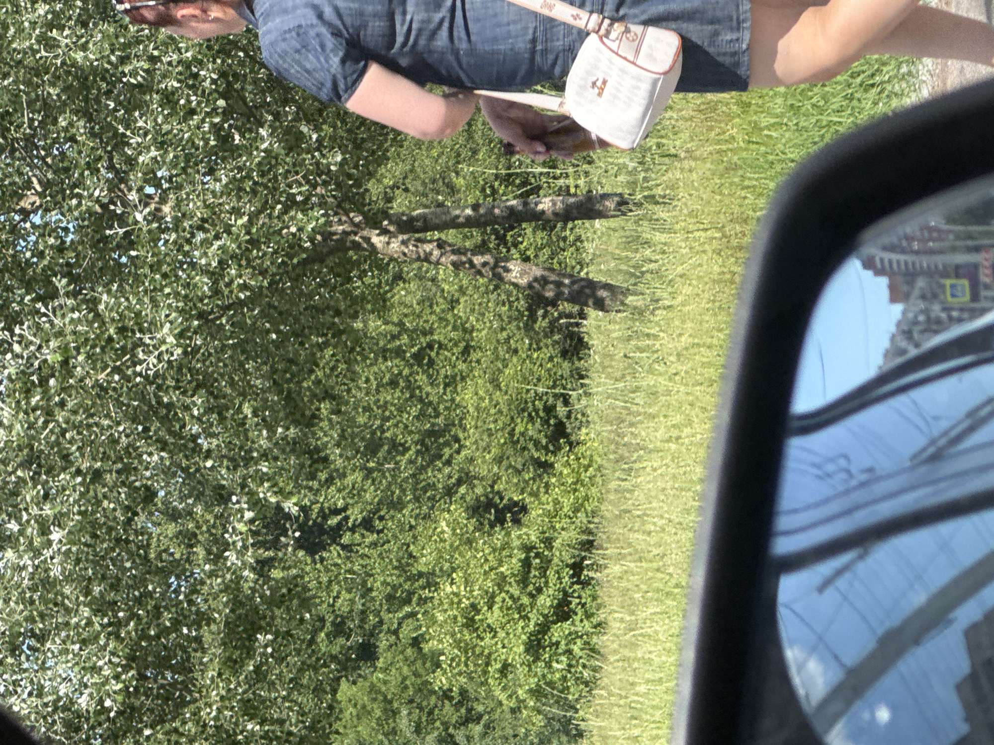 The image shows a person in a blue denim shirt and denim shorts, standing next to a grassy area with trees. The person is wearing sunglasses and carrying a small white purse with a patterned strap. The scene appears to be outdoors on a sunny day. The reflection in the car's side mirror shows a street scene with buildings and power lines, suggesting the person is in an urban or suburban environment. The person is looking down at something in their hands, possibly a phone or wallet. The overall mood of the image is casual and relaxed. There is no visible text in the image. The context provided indicates the location is Saint Petersburg, Russia.