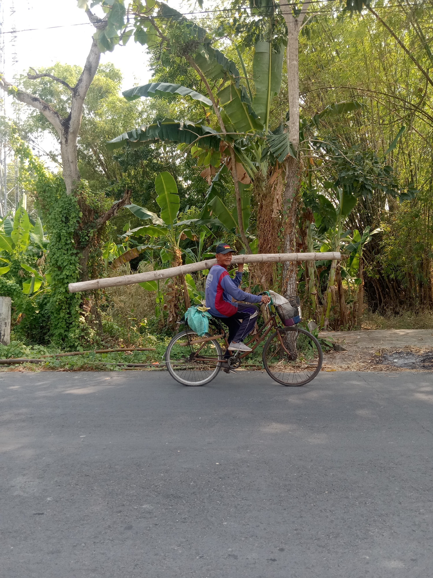 A man rides a bicycle on a paved road in Tegalkodo, Indonesia, carrying a long bamboo pole across his shoulders. The man is wearing a blue and red long-sleeved shirt, dark pants, and a blue cap. The bicycle is dark-colored with a basket on the front containing items. A light blue bag is strapped to the back of the bicycle. The environment is lush and green with large trees, banana plants, and bamboo groves lining the roadside. The sun is shining, casting shadows on the road.