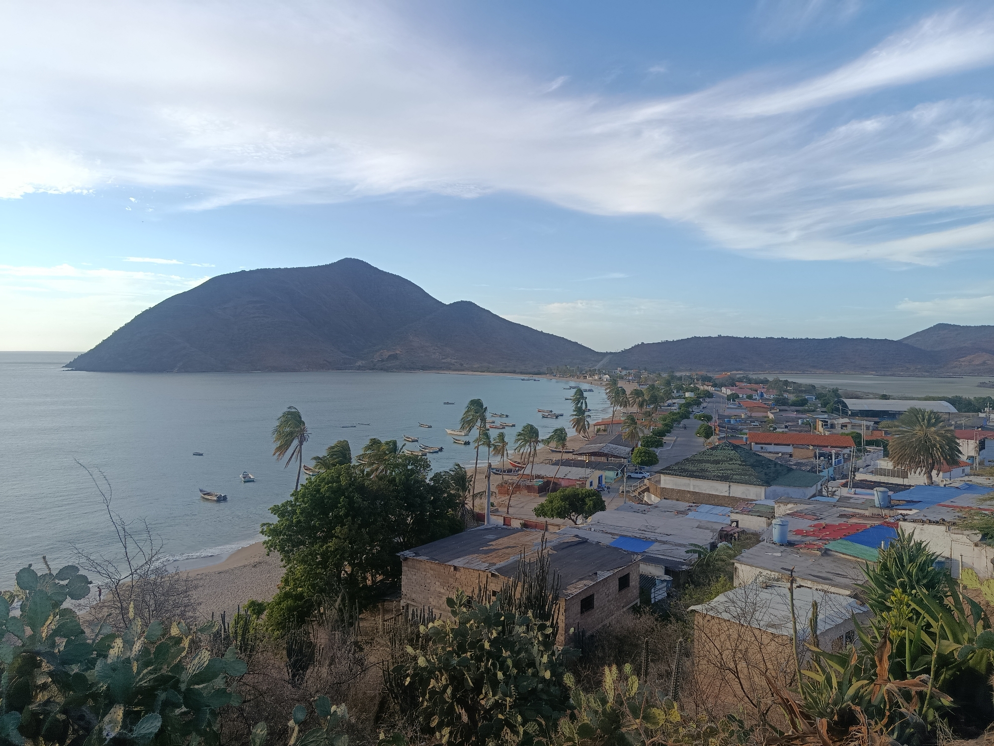 The image depicts a scenic overlook in Juan Griego, Venezuela. The foreground contains dense, arid vegetation, including cacti and shrubs. Behind the vegetation are low-lying buildings with a mix of construction materials and roof colors, typical of a coastal village.
Beyond the buildings, a sandy beach lines the coastline, dotted with small fishing boats anchored near the shore. Palm trees grow along the beach, lining a road that parallels the coast.
In the background, a large, prominent mountain rises from the peninsula, dominating the horizon. To the right of the large mountain is a range of lower hills. The sky is blue with scattered white clouds. The overall scene portrays a coastal community nestled against a rugged, mountainous landscape.