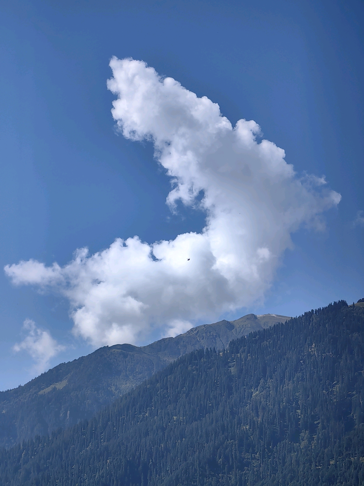 In Vashisht, India, a scene unfolds under a clear blue sky dotted with fluffy white clouds. A vast expanse of green forest blankets the lower slopes of majestic mountains, their peaks partially obscured by the cloud formations. High above, a lone helicopter navigates the sky, a small dark silhouette against the bright expanse.