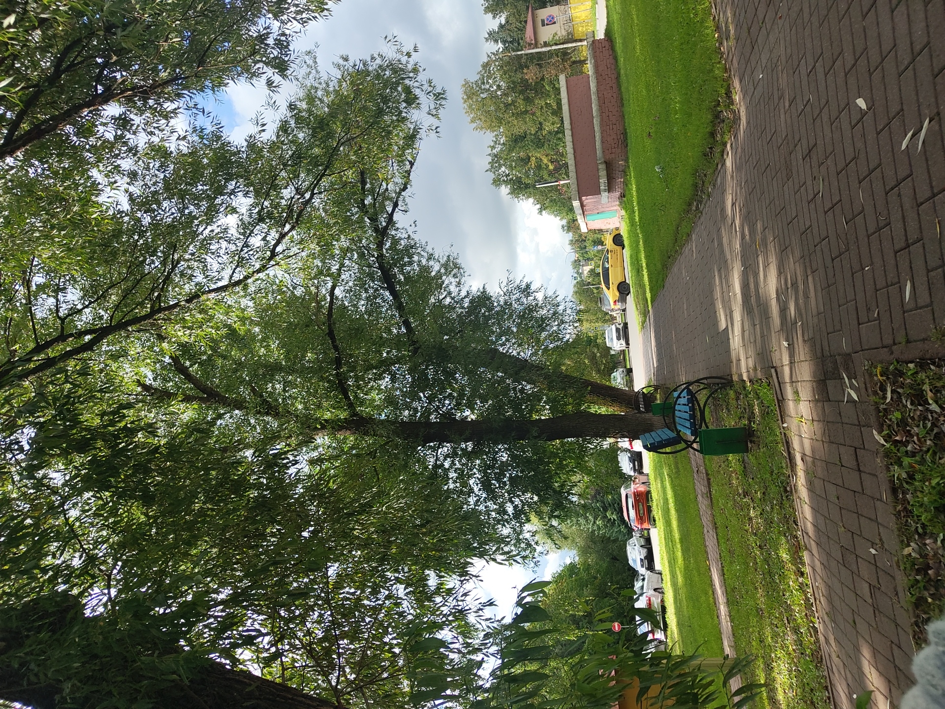 A paved walkway, constructed of brick-patterned pavers, extends from the foreground into the mid-ground of the image, bordered by a vibrant green lawn on the right and a strip of grass and foliage on the left. A blue park bench with a dark green trash receptacle is situated on the lawn to the left of the walkway, casting a shadow from the overhead foliage. Large trees with lush green leaves dominate the upper portion of the frame, creating a dappled canopy. In the background, several cars are parked on the left side of the image, including a red hatchback and a white sedan. Further into the background, a low-lying brick building with a light green door is visible on the right, adjacent to a grassy area and a chain-link fence. The sky is partially cloudy, with patches of blue visible. The scene appears to be a public park or a residential area in Ramenskoye, Russia.