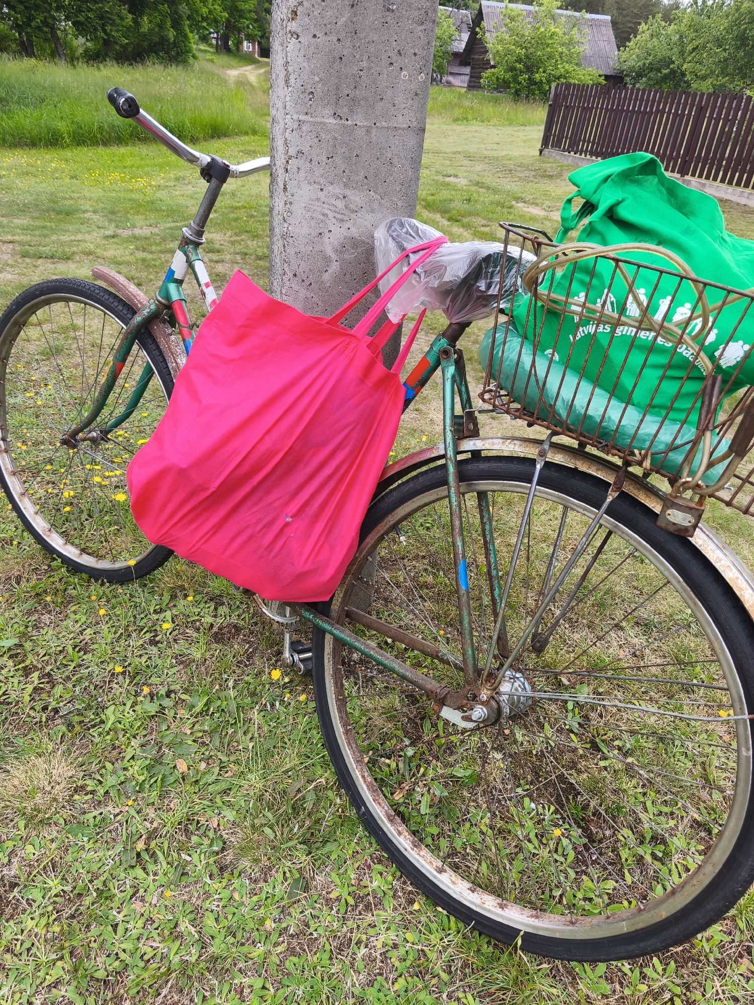 An abandoned bicycle, leaning against a concrete post, is situated in a grassy area with scattered yellow wildflowers. The bicycle is teal and rust-colored, with a pink tote bag hanging from its handlebars and a green reusable shopping bag in a metal basket attached to the rear. The bicycle's tires are deflated. In the background, a wooden fence, a path, and rustic wooden houses are visible, suggesting a rural or semi-rural setting, possibly within the vicinity of the village of Parachcha, Belarus. The overall impression is one of disuse and neglect.