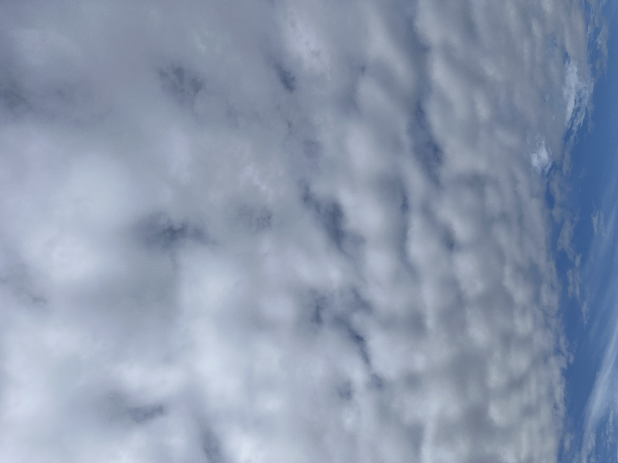 The image depicts a cloudy sky with some patches of blue sky visible towards the bottom. The clouds are varied in texture and density, ranging from light and wispy to darker and more opaque. There are no discernible objects, people, or actions taking place in the scene, nor is there any indication of the city of Il'ino, Russia. The focus is entirely on the atmospheric conditions.