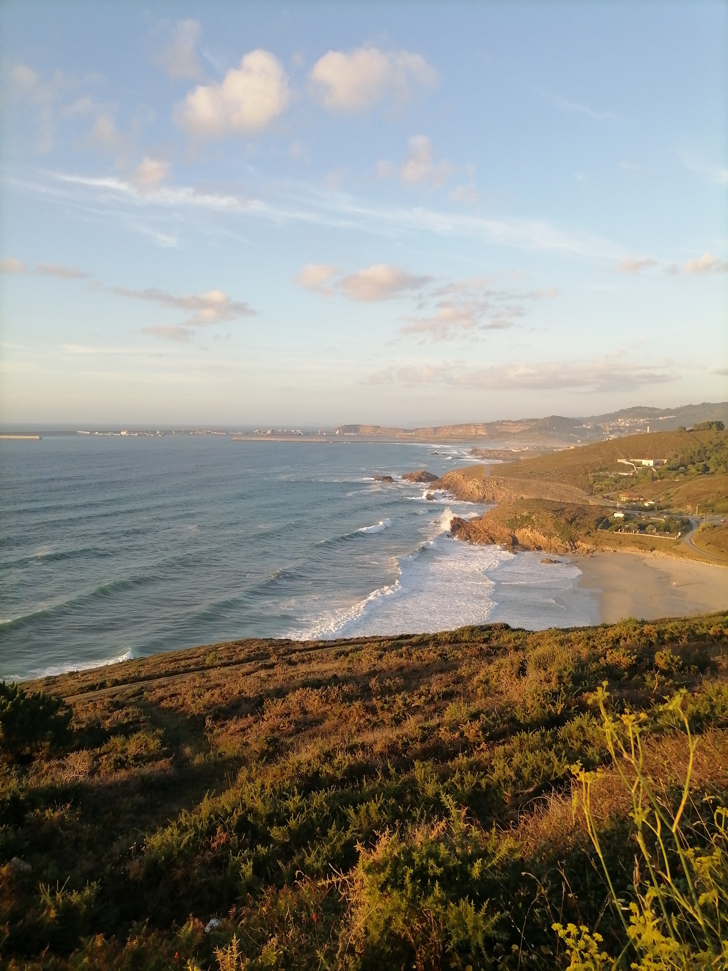 This image captures a coastal landscape in Arteixo, Spain, during what appears to be late afternoon or early evening. The scene is dominated by the vast ocean, with gentle waves rolling towards a sandy beach. The water exhibits a deep blue hue, transitioning to lighter shades near the shore where white foam marks the breaking waves.
The coastline is rugged, characterized by rocky outcrops interspersed with stretches of golden sand. A road winds along the coastal hills, providing access to scattered houses and buildings nestled amongst the green vegetation. The foreground is covered with a dense layer of shrubs and wild vegetation, tinged with the warm light of the setting sun. In the distance, a breakwater or pier extends into the sea, with a cluster of industrial buildings or port facilities visible along the horizon. The sky above is a pale blue, adorned with scattered clouds, some tinged with soft pinks and oranges from the ambient light. The overall impression is one of a serene and picturesque coastal environment.