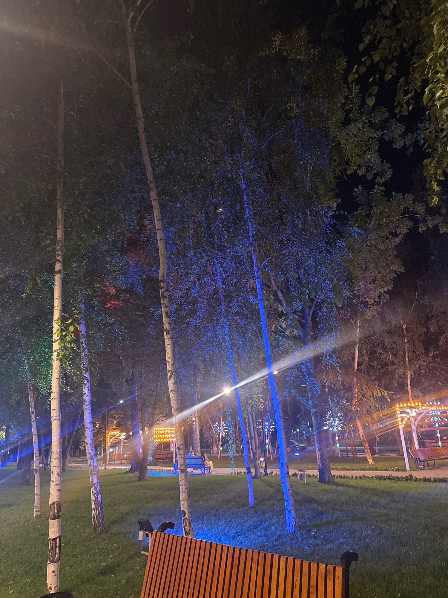 In Bishkek City, Kyrgyzstan, at nighttime, a park is illuminated by various lights. Tall trees with white bark are prominent in the foreground, some with green foliage, and others bathed in blue and red artificial light. In the background, there are decorative light installations and amusement park rides, including a Ferris wheel and illuminated arches. Benches are scattered throughout the park, with one wooden bench in the foreground. A few individuals are visible, including two people sitting on a bench in the mid-ground and another person near a ride. The ground is covered with grass, and a paved path runs through the park.