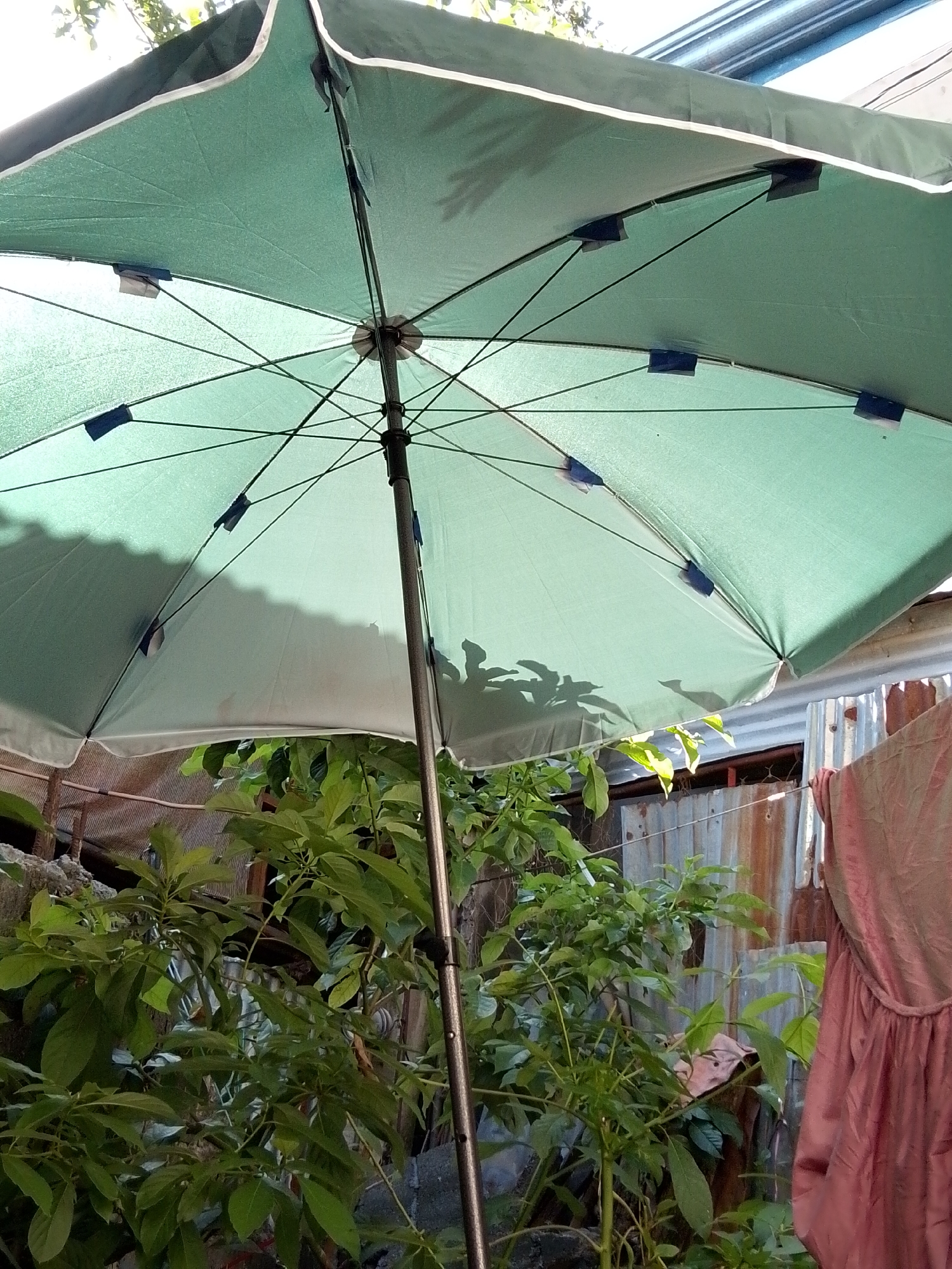 An outdoor, ground-level, medium-angle, full shot captures a green patio umbrella viewed from below. The umbrella is partially open, with its fabric canopy and metal ribs visible. Several dark blue clips are attached to the underside of the canopy, securing it. A metal pole extends vertically through the center of the umbrella, supporting it. The background shows lush green foliage from plants, a corrugated metal fence, and a section of pink fabric, possibly clothing, hanging to the right. The scene appears to be in a residential area of Davao City, Philippines, evidenced by the typical outdoor elements and vegetation.