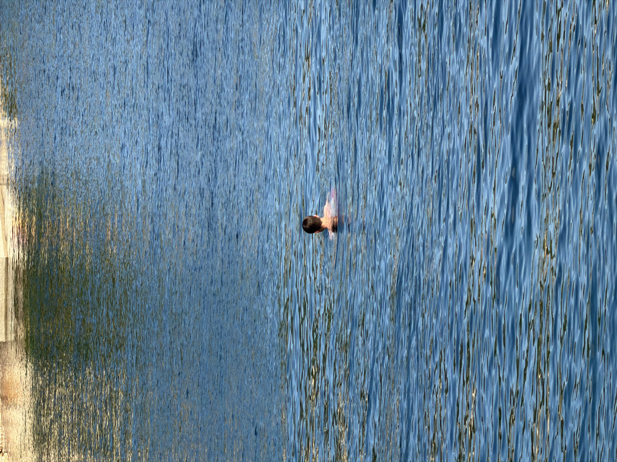 The image displays a high-angle shot looking down into a body of water, capturing a person swimming or floating. The predominant feature is the water's surface, which exhibits numerous tight, vertical ripples and reflections. These ripples create a textured blue expanse, interspersed with thin, elongated streaks of light and shadow, and occasional hints of golden-brown from reflected light.
Towards the right side of the frame, a person is partially submerged in the water. Only their head and upper back are visible above the surface. The person has dark hair and appears to be facing away from the viewer, looking towards the left side of the frame. The water is calm enough for their head to be clearly out of the water.
On the far left edge of the image, a narrow vertical strip of lighter, solid-looking material is visible, possibly representing a sun-drenched shore, bank, or concrete edge that meets the water. The reflections from this edge are also visible in the adjacent water.
The activity taking place is swimming or leisurely floating. The bright reflections on the water suggest it is daytime, likely a sunny day. No specific geographical landmarks or text are visible within the frame to identify the location, other than the provided context of Grad Rijeka, Croatia, suggesting a coastal or large body of water. The overall scene conveys a sense of tranquility and a warm, bright environment.