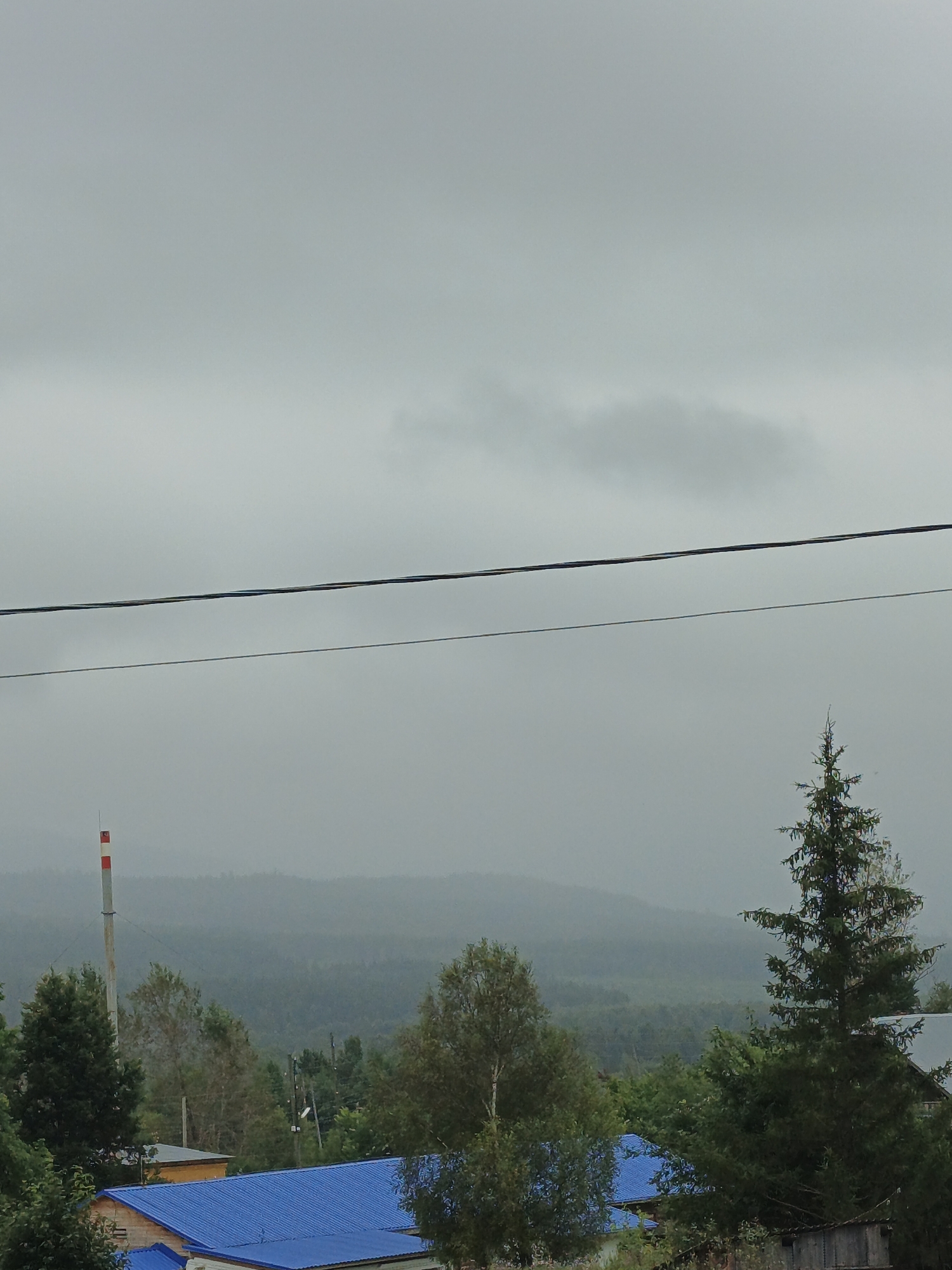 The image depicts a view of the town of Medvedyovka, Russia, under a cloudy sky. In the foreground, a blue-roofed building is partially visible, with another building to its left featuring a yellow roof. To the left of the blue-roofed building stands a tall, red and white striped smokestack. A large, dark green evergreen tree is prominent on the right side of the frame, with other foliage and trees scattered throughout the scene. In the background, hazy green hills fade into the distance, suggesting a natural landscape. Power lines stretch horizontally across the upper portion of the image. No people are visible.