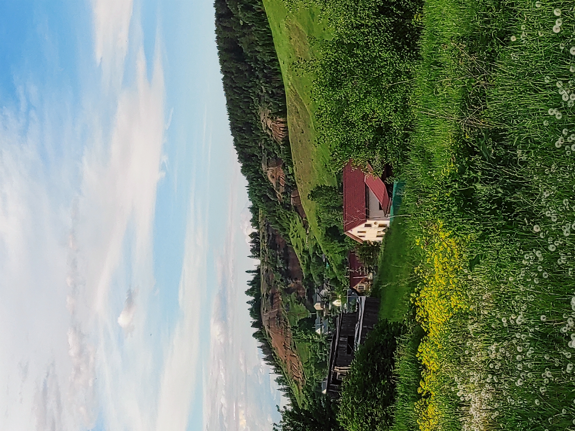 A landscape shows the village of Olkhovka, Russia, taken at an elevated angle. A cliff face with visible soil striations descends towards the village, with a forest atop the ridge. A small house with a red roof is partially obscured by lush green foliage. Meadow of dandelions and yellow flowers is in the foreground. The sky is blue with sparse clouds.