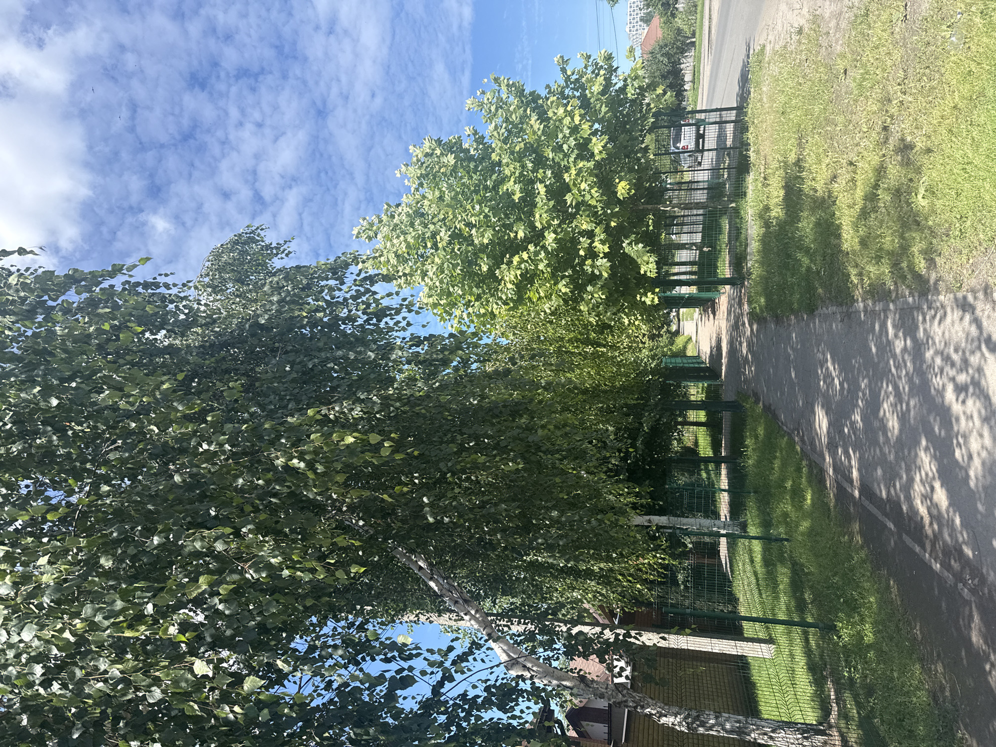 The image depicts a sunlit scene of a paved walkway bordered by a green metal fence on the left and a grassy area transitioning to a road on the right. Several trees with dense green foliage, including birch trees with distinctive white bark, line the walkway. The sky is a bright blue with scattered white clouds. In the background, a building with a reddish-brown roof is visible on the left, and a road with a white car and apartment buildings can be seen on the right. The overall impression is a peaceful, urban park-like setting. The scene appears to be located in Dnipro, Ukraine, given the architecture and vegetation.