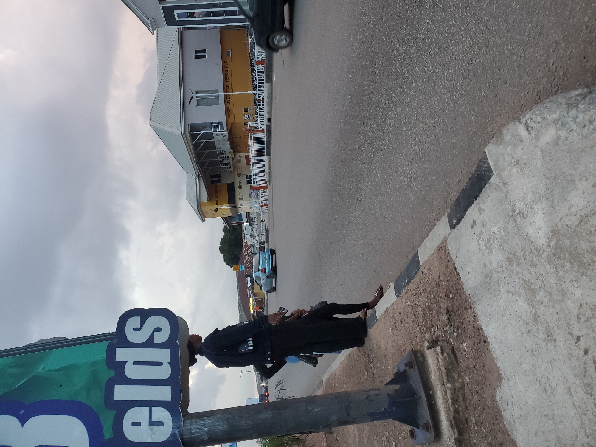 The image depicts a street scene in Jos, Nigeria, likely near a commercial area. In the foreground, a woman in a dark jacket and pants stands on a sidewalk next to a large sign that reads "Fields". She is facing away from the camera. Beside her, another person is partially visible, also on the sidewalk. A blue car is driving on the road in the mid-ground. In the background, a modern, multi-story building with a light-colored facade and a silver roof stands prominently. The sky is overcast with clouds. The overall impression is of an urban environment with commercial activity.