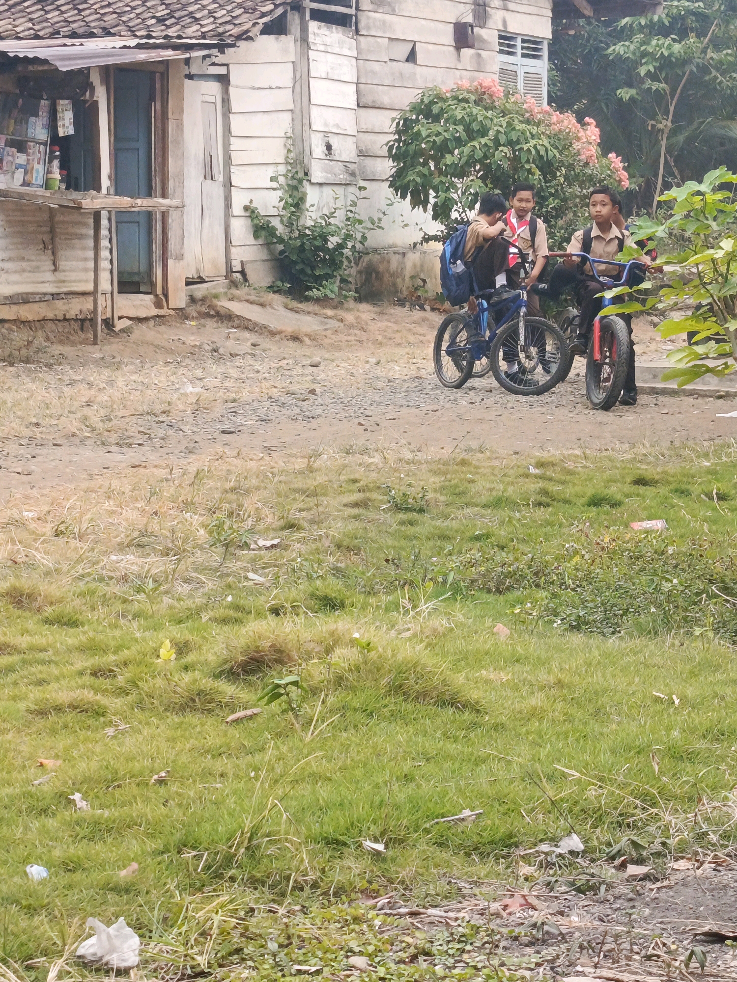 In Megang Sakti II, Indonesia, three young boys, likely students in uniform, stand near bicycles on a dirt path in front of a weathered, light-colored wooden building. The building, possibly a small shop or residence, has a tin roof and a blue doorway. One boy on the right is seated on a bicycle with red rims, while another boy in the center stands with a blue bicycle, and the third boy on the left is leaning over his blue bicycle. They are all wearing similar khaki-colored uniforms with red scarves or sashes. Behind them, a tree with pink blossoms adds a splash of color to the scene. The ground is a mix of dirt, gravel, and patches of dry and green grass. The overall impression is one of a rural or semi-urban setting.