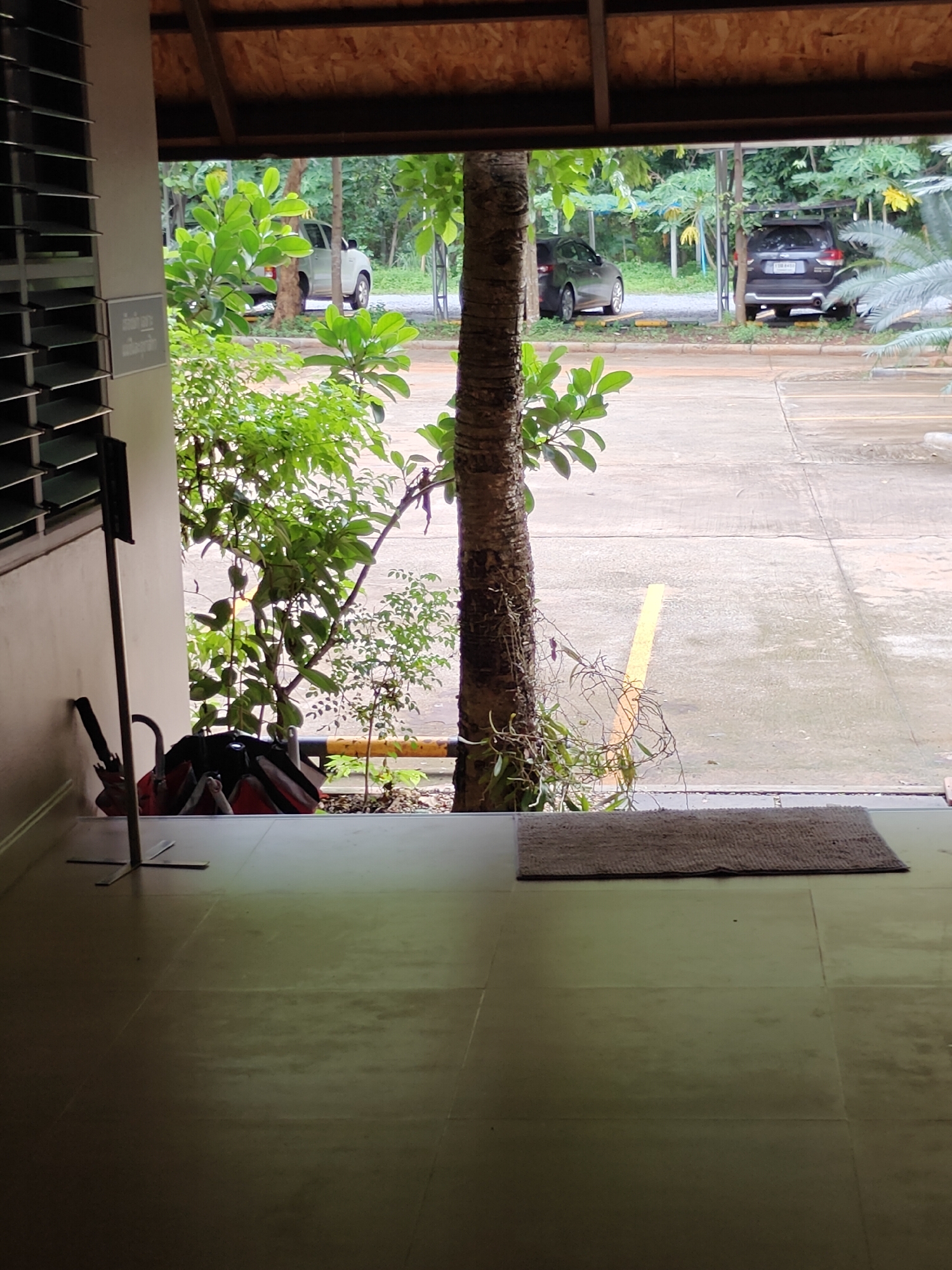 The image shows a view from a covered walkway looking out onto a paved area with cars parked. In the foreground, a doormat is visible on the tiled floor. To the left, a silver stand holds what appears to be an umbrella and a red bag. A large tree trunk is to the right of the walkway, with foliage visible in the background. The environment suggests a residential or parking area in Mu Si, Thailand.