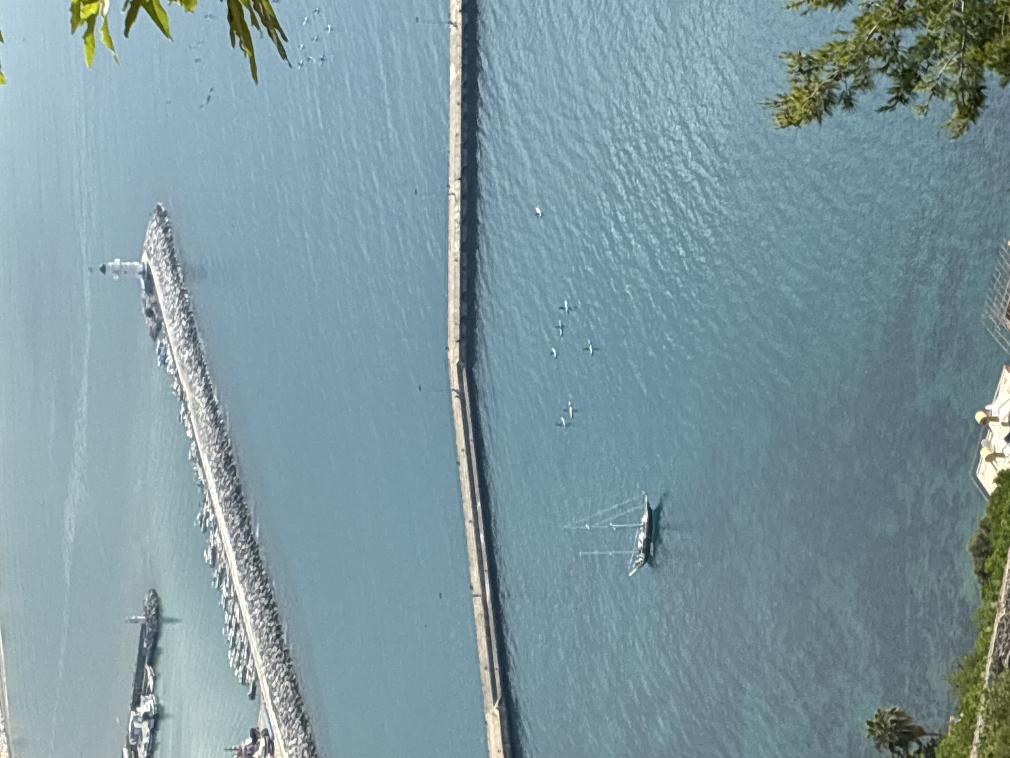 In Alanya, Turkey, a high-angle view captures a serene harbor under a clear sky. A long, stone breakwater stretches across the blue water, dotted with numerous parked boats. At the breakwater's end, a white lighthouse stands sentinel. Further out in the tranquil sea, a classic sailboat with two masts glides through the water, accompanied by several individuals on paddleboards. The scene is framed by lush green foliage in the foreground and background, with a glimpse of buildings along the coastline.