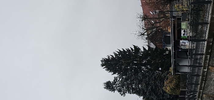 The image depicts an urban landscape in Kamenz - Kamjenc, Germany, under an overcast, light grey sky. In the foreground, a dark grey metal railing, composed of vertical bars and horizontal top and bottom rails, runs horizontally across the frame atop a concrete or stone retaining wall. Behind this railing, to the left, is a compact, dense bush with brownish foliage. Further back, two large, dark green conifer trees, likely spruces or firs, stand prominently, dominating the left and central midground.
To the right of the center, a low, single-story, light-colored structure, possibly a shed or covered waiting area, features exposed dark wooden beams supporting a dark-colored roof. Its side walls are light, and multiple posters are affixed to its exterior, including one with a green background on the right. Behind this structure and the trees, several residential-style buildings are visible, characterized by red-tiled roofs and dark window frames. A bare deciduous tree stands between these buildings and the main conifer tree on the right. A black, traditional streetlamp with a single light fixture is positioned on the far right, behind the foreground railing and in front of the background buildings. No individuals are present in the scene.