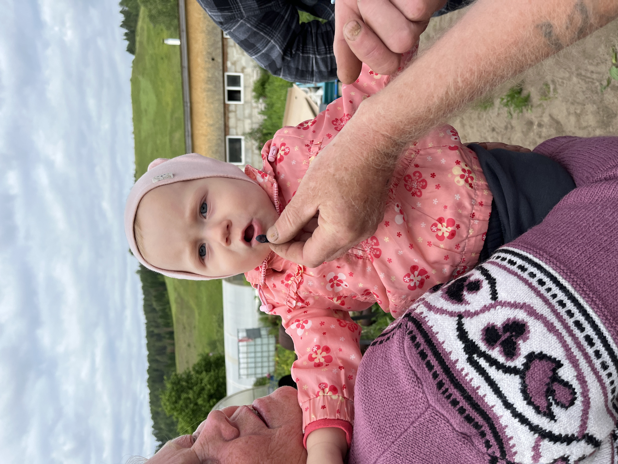 In the city of Olkhovka, Russia, a baby wearing a pink jacket with floral patterns and a pink hat is held by an older person wearing a purple knitted sweater with a patterned yoke. Another person's hands are visible, one of which is offering a berry to the baby, who has its mouth open to receive it. The background shows a rural setting with a greenhouse, a building, and green hills under a cloudy sky.