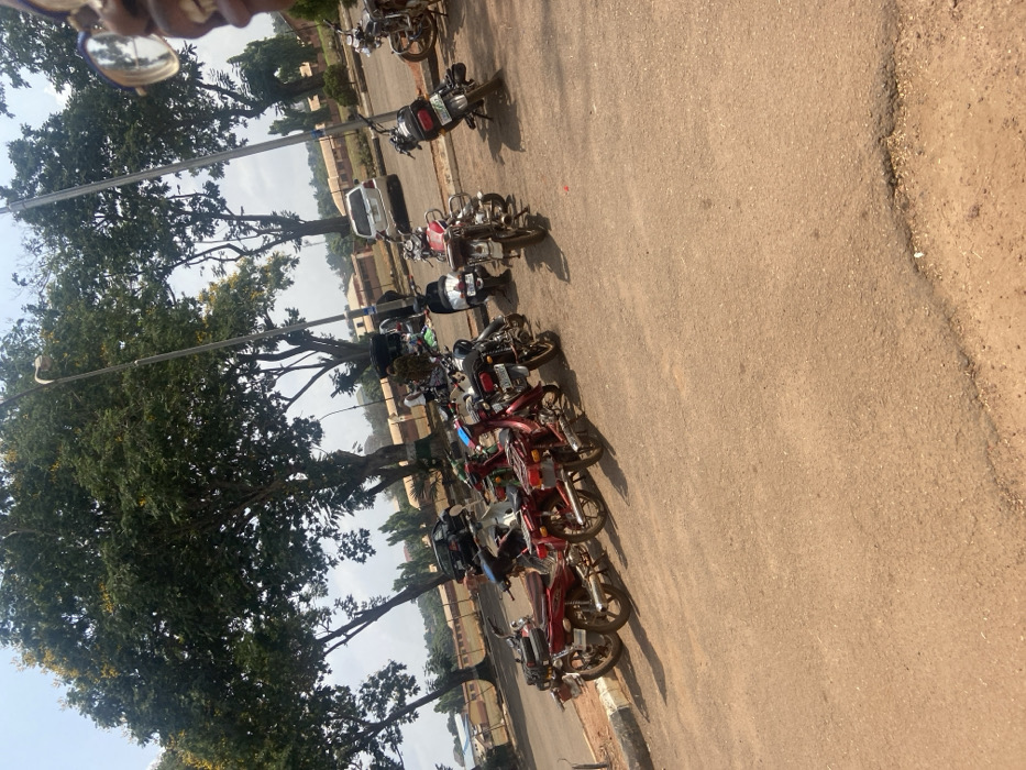 The image displays an outdoor scene in Nsukka, Nigeria, under a bright, clear sky. The foreground is a reddish-brown, granular road or parking surface. Along the left edge, approximately ten to fifteen motorcycles and mopeds, primarily in red, silver, and black, are parked. Further back on the road, a white SUV and a black sedan are visible. The midground and background are dominated by numerous tall trees with dense green foliage, some exhibiting yellow blossoms. Grey streetlights are positioned among the trees. In the background, low-rise buildings with reddish-brown roofs are visible. Near the black sedan, several indistinct individuals are gathered around items laid out on the ground, suggesting a small, informal market setup. The right side of a person's face, including an eyeglass frame, is partially visible in the extreme upper right corner of the frame.