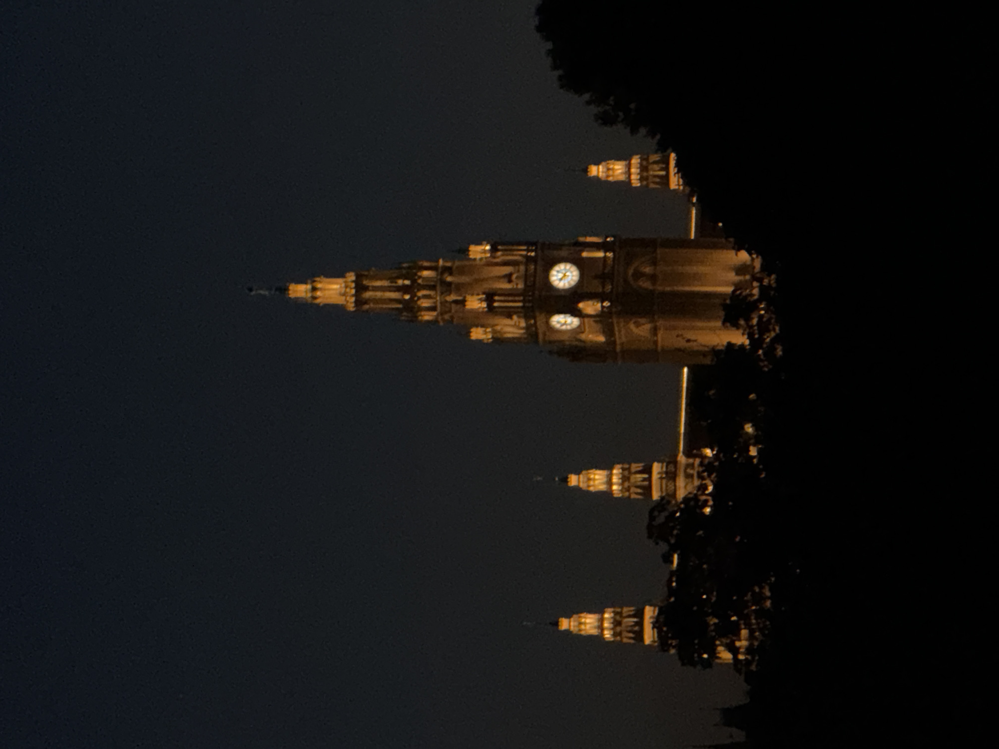 The image shows the Rathaus (City Hall) in Vienna, Austria, at night. The main tower of the Rathaus, illuminated by warm lights, is prominent in the center of the frame, featuring two clock faces. To the left and right of the main tower are smaller, similarly illuminated towers. The foreground is filled with dark silhouettes of trees and foliage, obscuring the base of the building and the immediate surroundings. The sky is a deep, dark blue, indicating nighttime. The overall scene is one of architectural grandeur set against a dark, atmospheric backdrop.